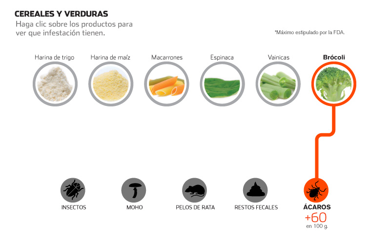 Insectos En Nuestra Comida La Nacion