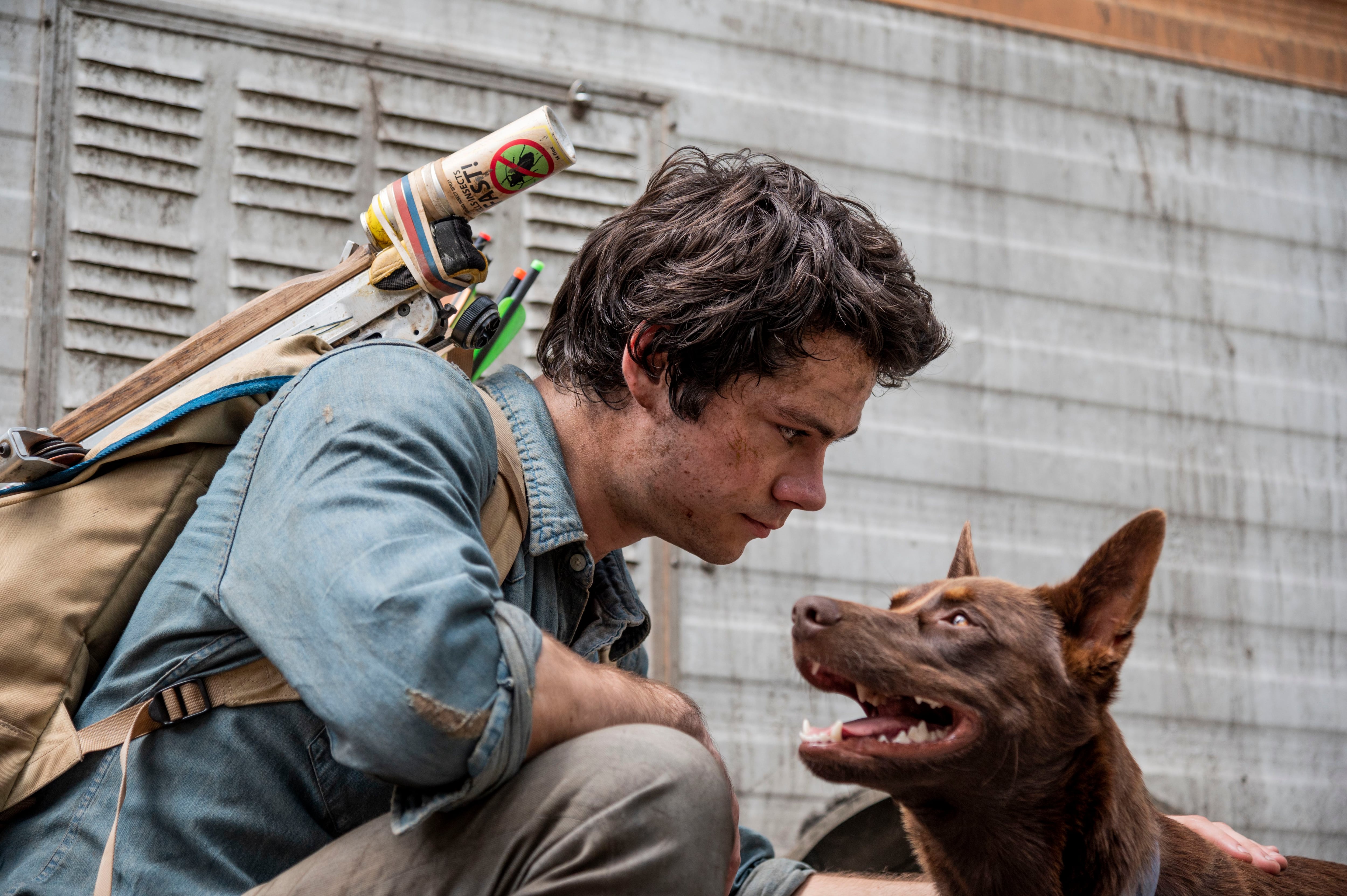 El poder del perro: la imperdible y contenida nueva película de Netflix