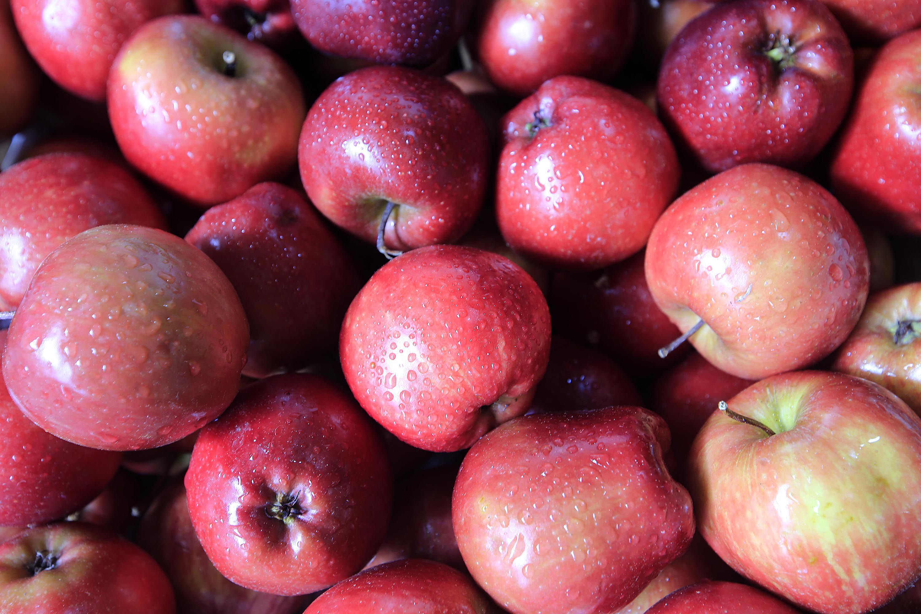Antes comerse una manzana era un lujo, por lo que esta fruta importada se guardaba para las fiestas de diciembre. 
