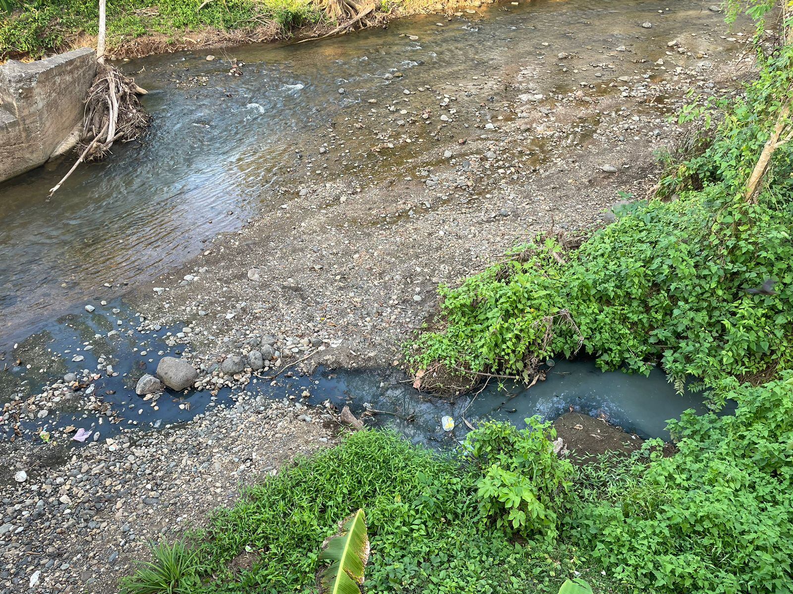Detalle este martes de aguas contaminadas (derecha) que llegan directamente al cauce del río Tarcolitos el cual cruza por la comunidad de Tárcoles antes de desembocar en el golfo de Nicoya. Fotografía: Cortesía.