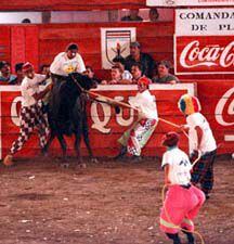 Imagen de la Familia Torera de Gordo Malo haciendo de las suyas durante una corrida de toros en Zapote, en 1997. Foto: Archivo.