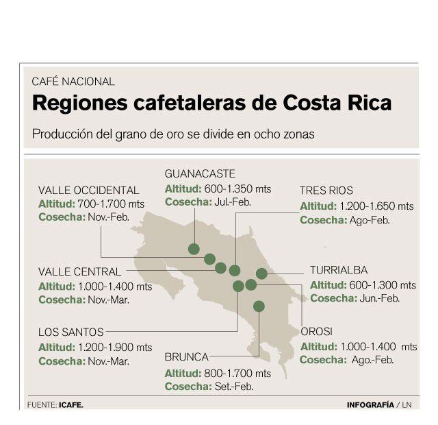 El café de Costa Rica se cultiva en ocho regiones cafetaleras, cada una posee su altura y tiempo de cosecha distintos.