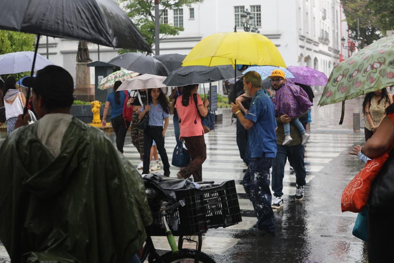 Paraguas y sombrillas son ahora parte de lo que la población debe tener a mano, al establecerse la fase lluviosa. Foto: Rafael Pacheco.