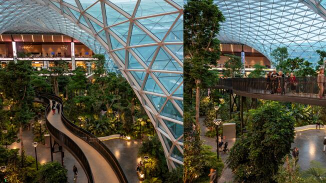 El Aeropuerto Internacional Hamad, reconocido como el mejor del mundo, alberga un jardín tropical en su interior.