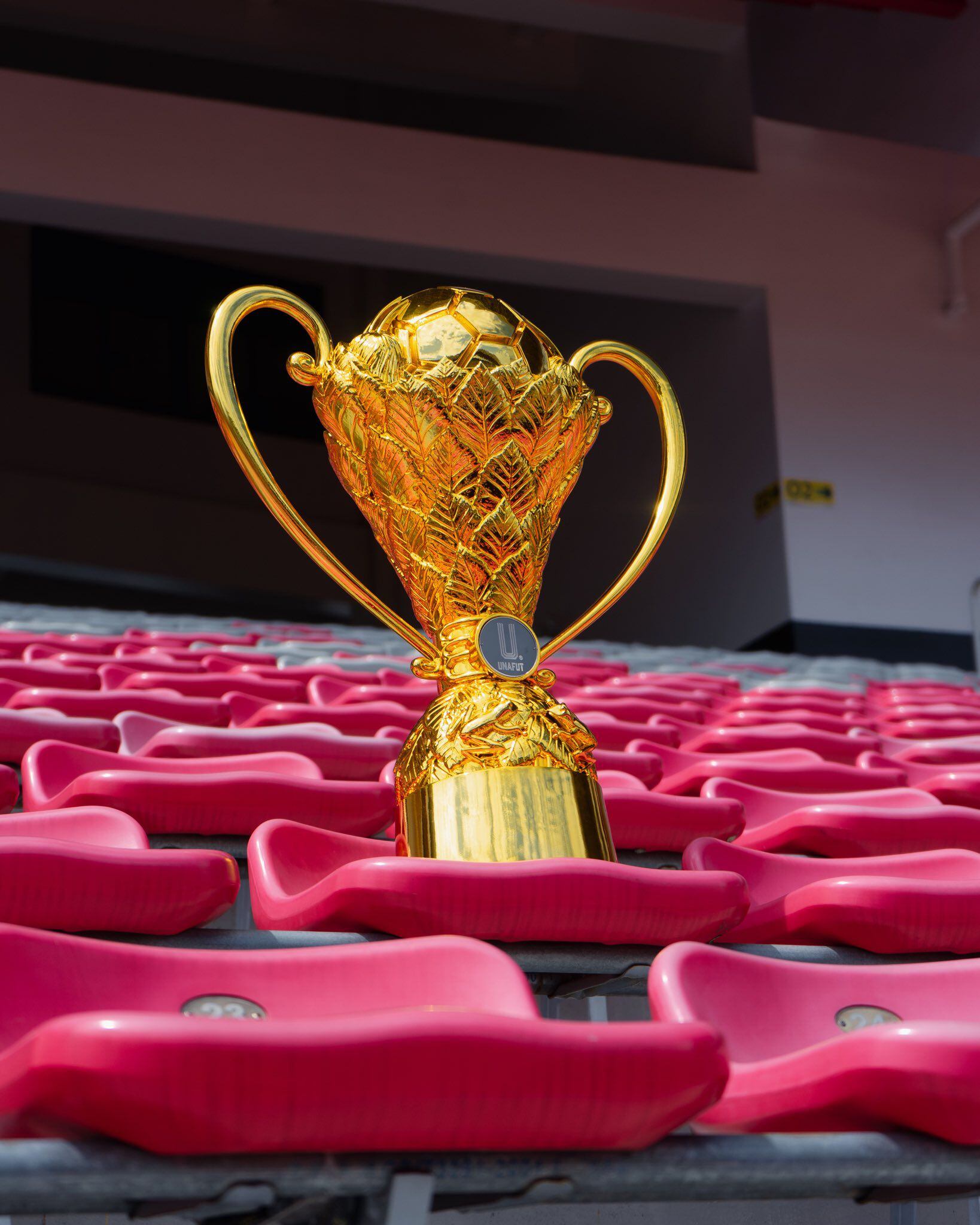 Este es el trofeo del Torneo de Copa que convoca a Liga Deportiva Alajuelense y a Saprissa en la final, en el Estadio Nacional.