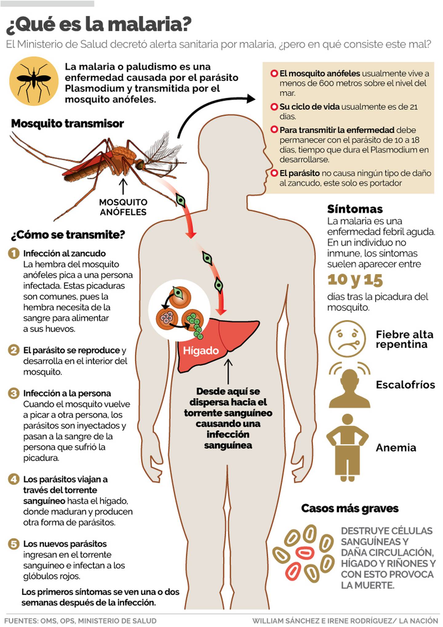 Costa Rica está en alerta sanitaria por malaria | La Nación