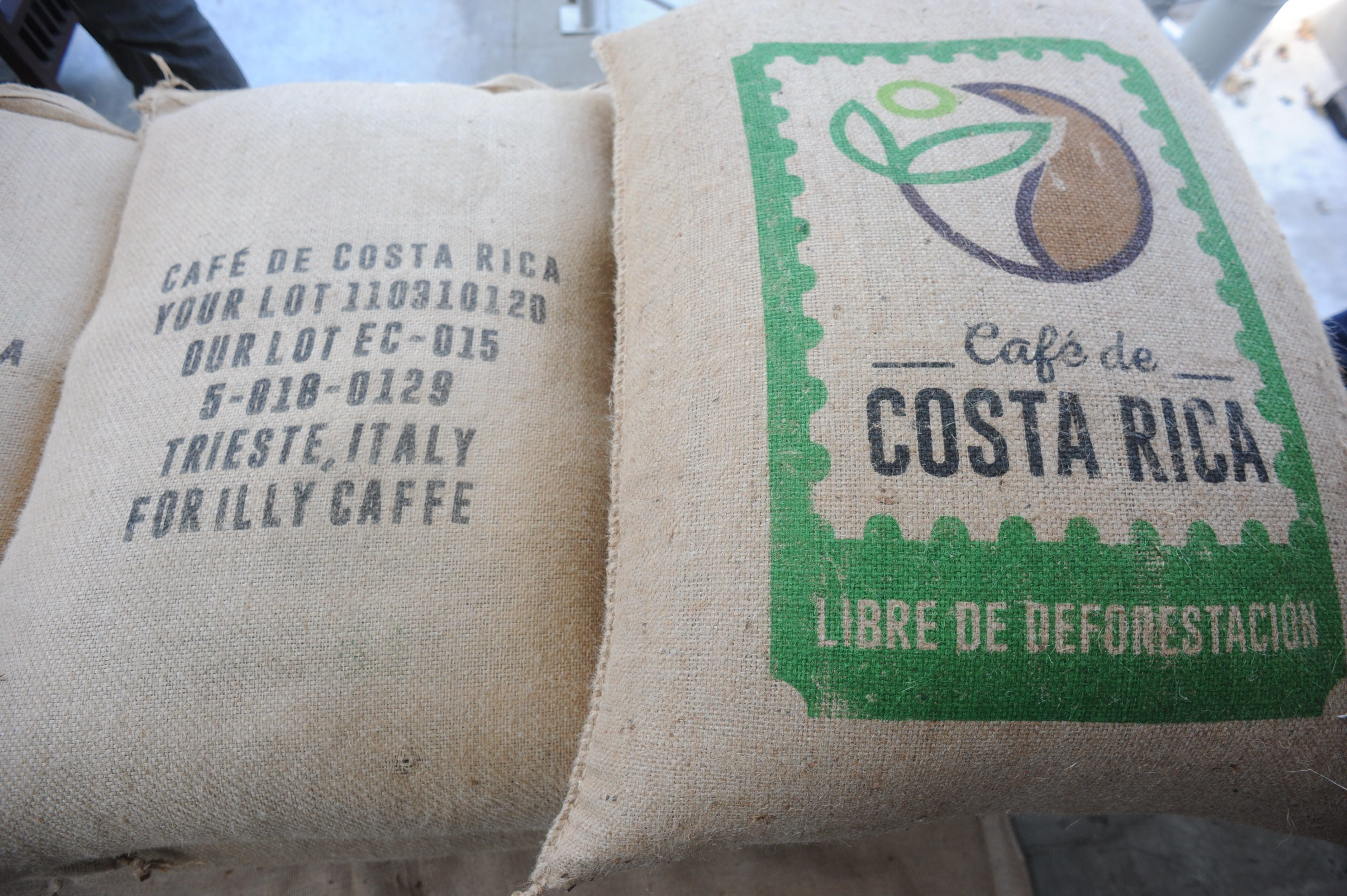 Productores confían en lograr un café ‘libre de deforestación’ apto para exportarse a la UE