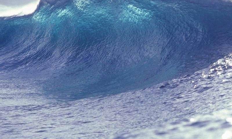 Una nueva herramienta predice olas gigantes hasta cinco minutos antes, mejorando la seguridad en el mar.