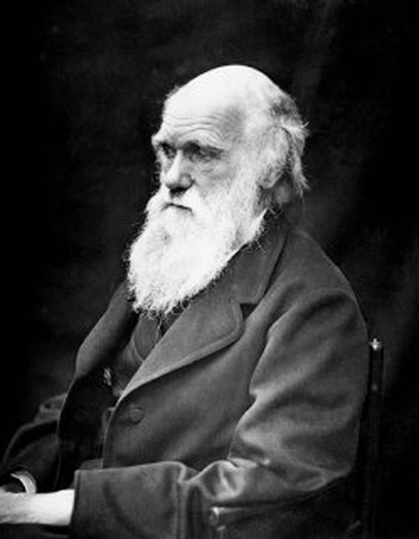 Charles Darwin, fundador de la biología moderna, nació hace 200 años | La  Nación