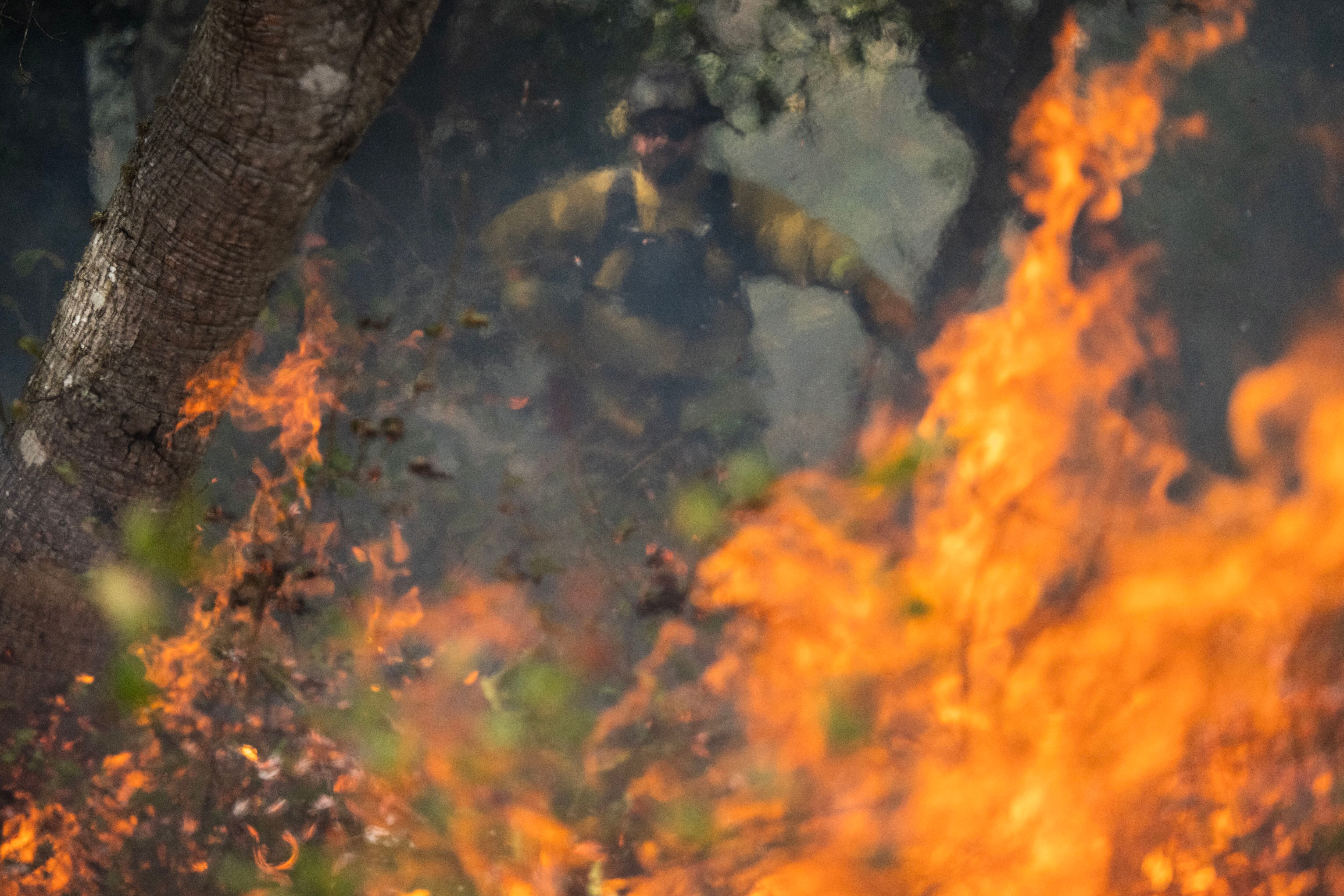 Alberto Bonilla, científico ambiental de Parques Estatales de California, monitorea una quema prescrita en el Parque Estatal Wilder Ranch cerca de Santa Cruz.