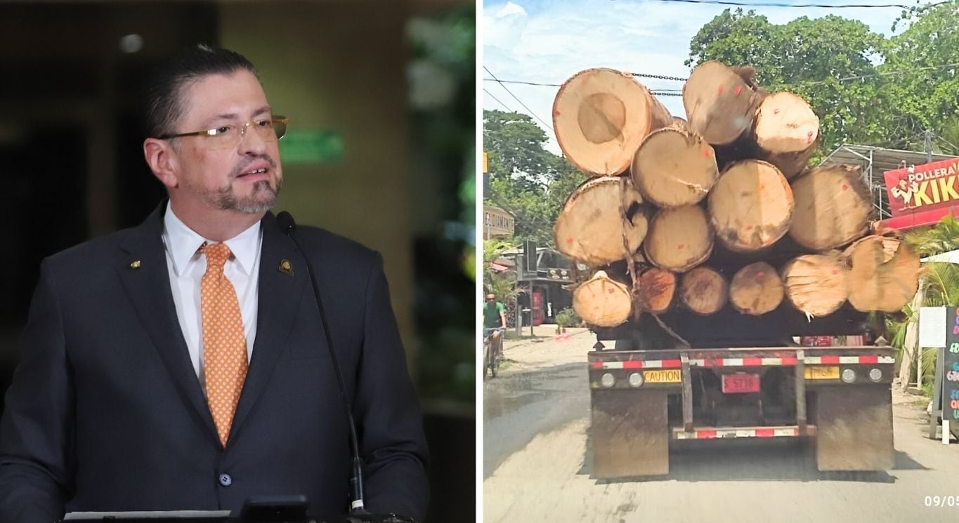 El presidente de la República, Rodrigo Chaves minimizó la polémica tala en Gandoca-Manzanillo. Alegó que solo se cortaron 23 árboles. Foto: Archivo/La Nación