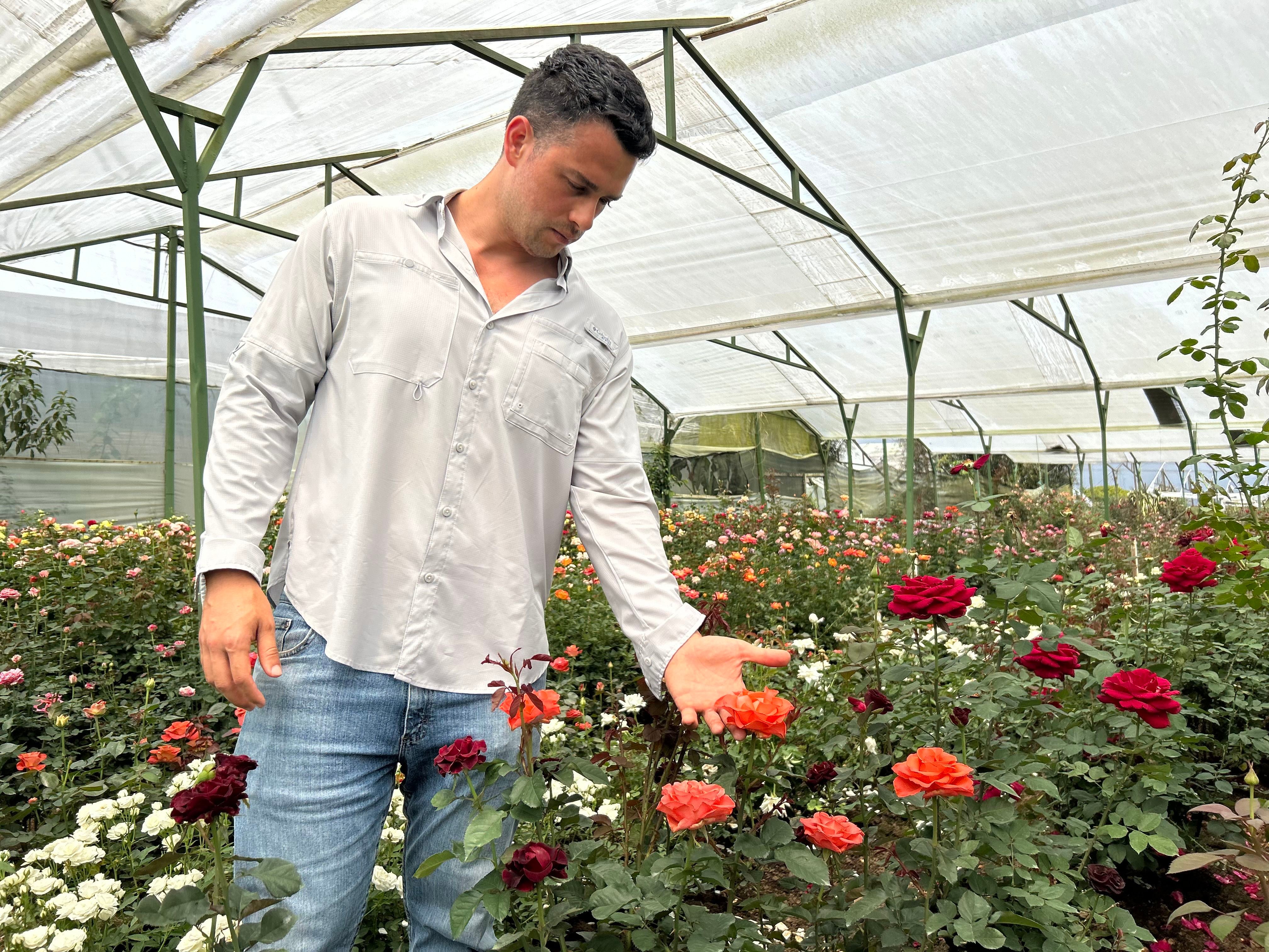 No, no son las pastoras. La planta favorita de Hermas Martínez son las rosas, las mismas que fascinaban a su abuelo. Foto: Juan Pablo Sanabria