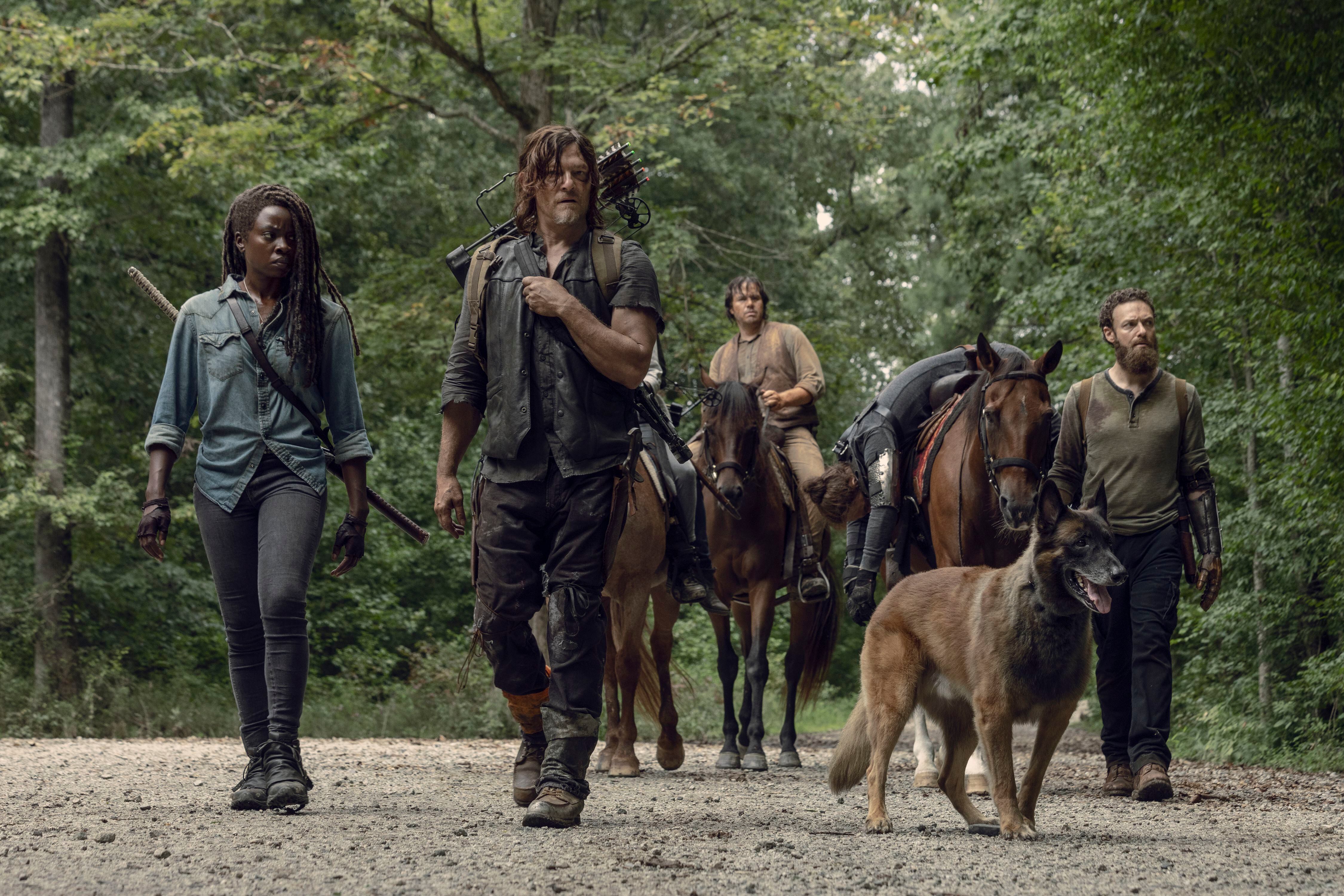 Dog acompañó a Daryl Dixon a lo largo de tres temporadas de 'The Walking Dead'.