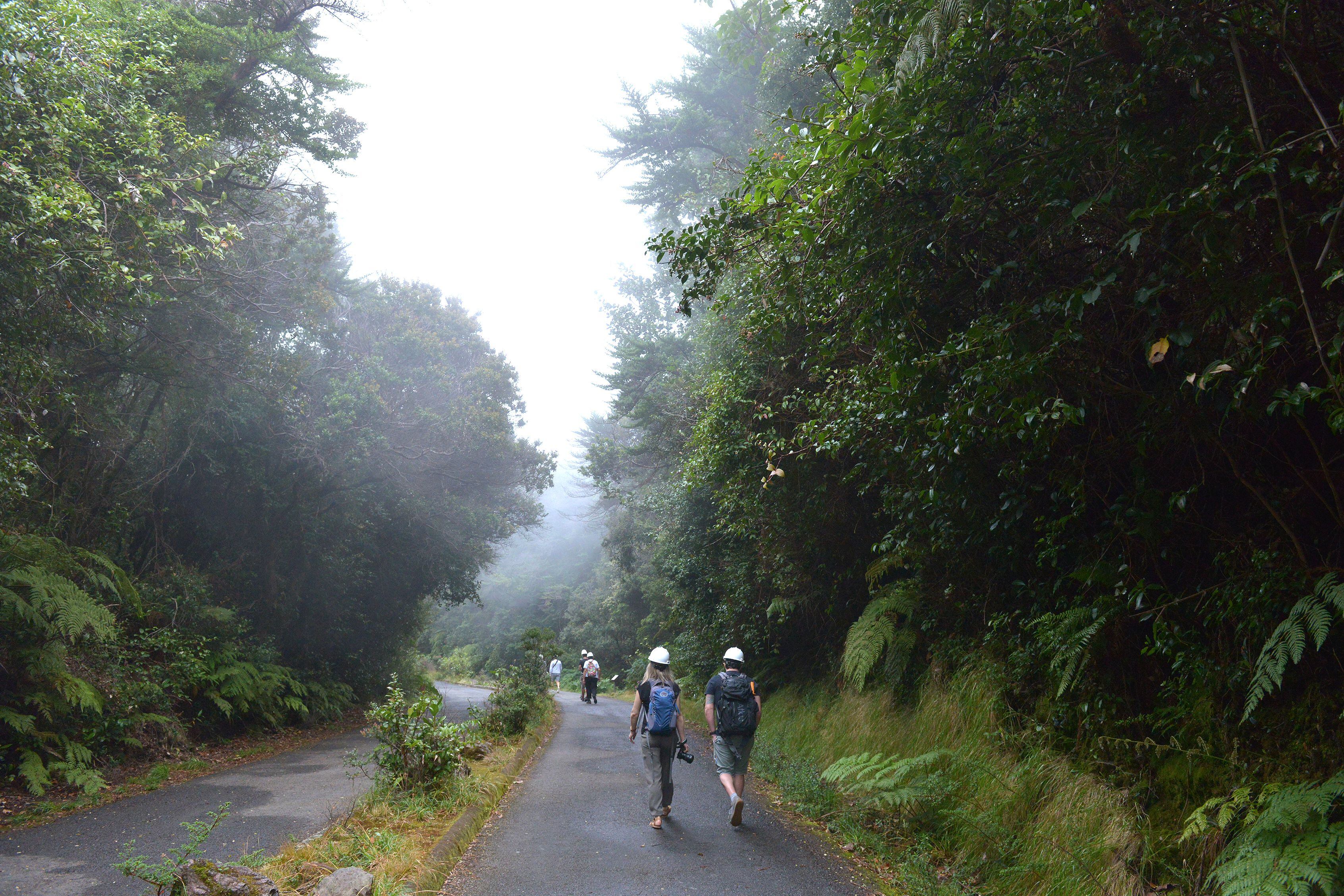 Tripadvisor destaca los senderos, el bosque nuboso y el Volcán Arenal, como unos de los principales atractivos que convierte a Alajuela en uno de los destinos en tendencia del 2024. Fotografía: