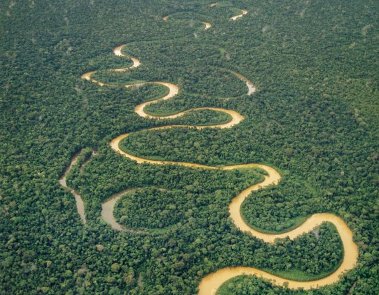 El río Amazonas se ubica en Suramérica. El río pasa por seis países: Bolivia, Brasil, Colombia, Ecuador, Perú y Venezuela.