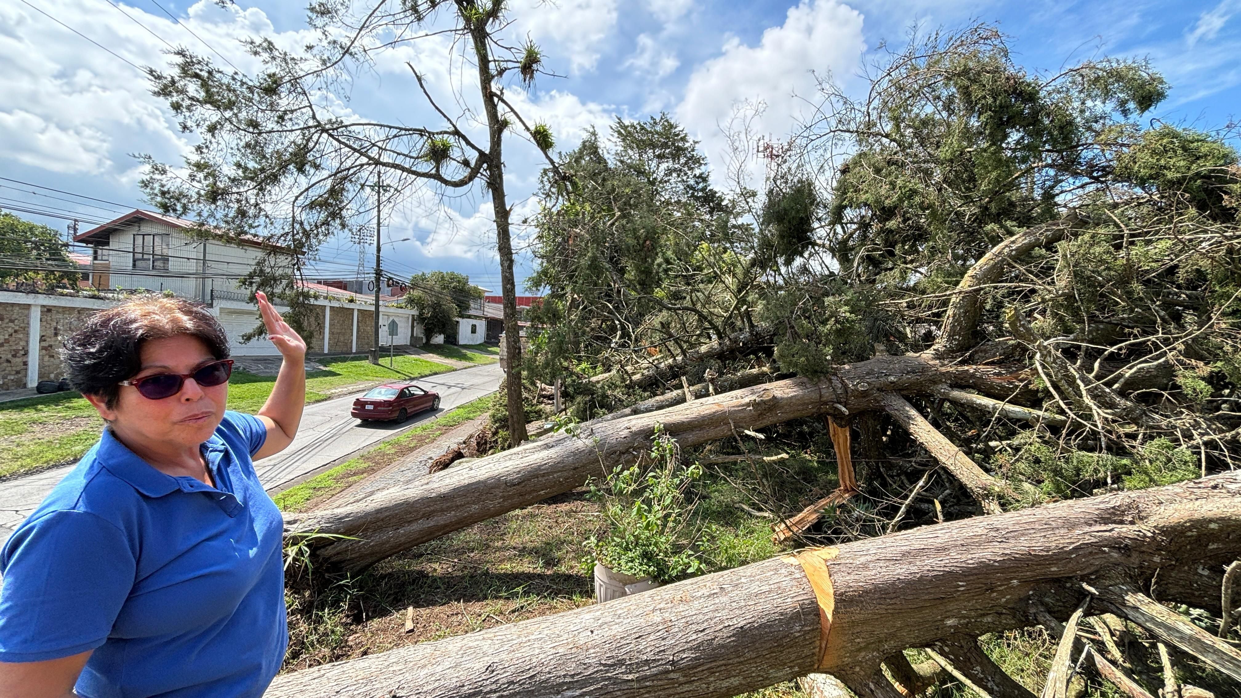 Isabel Solano Moncada muestra los árboles que cayeron frente a su casa, en San Francisco de Cartago, debido a la tormenta ocurrida el pasado sábado. Foto: Yirén Altamirano.