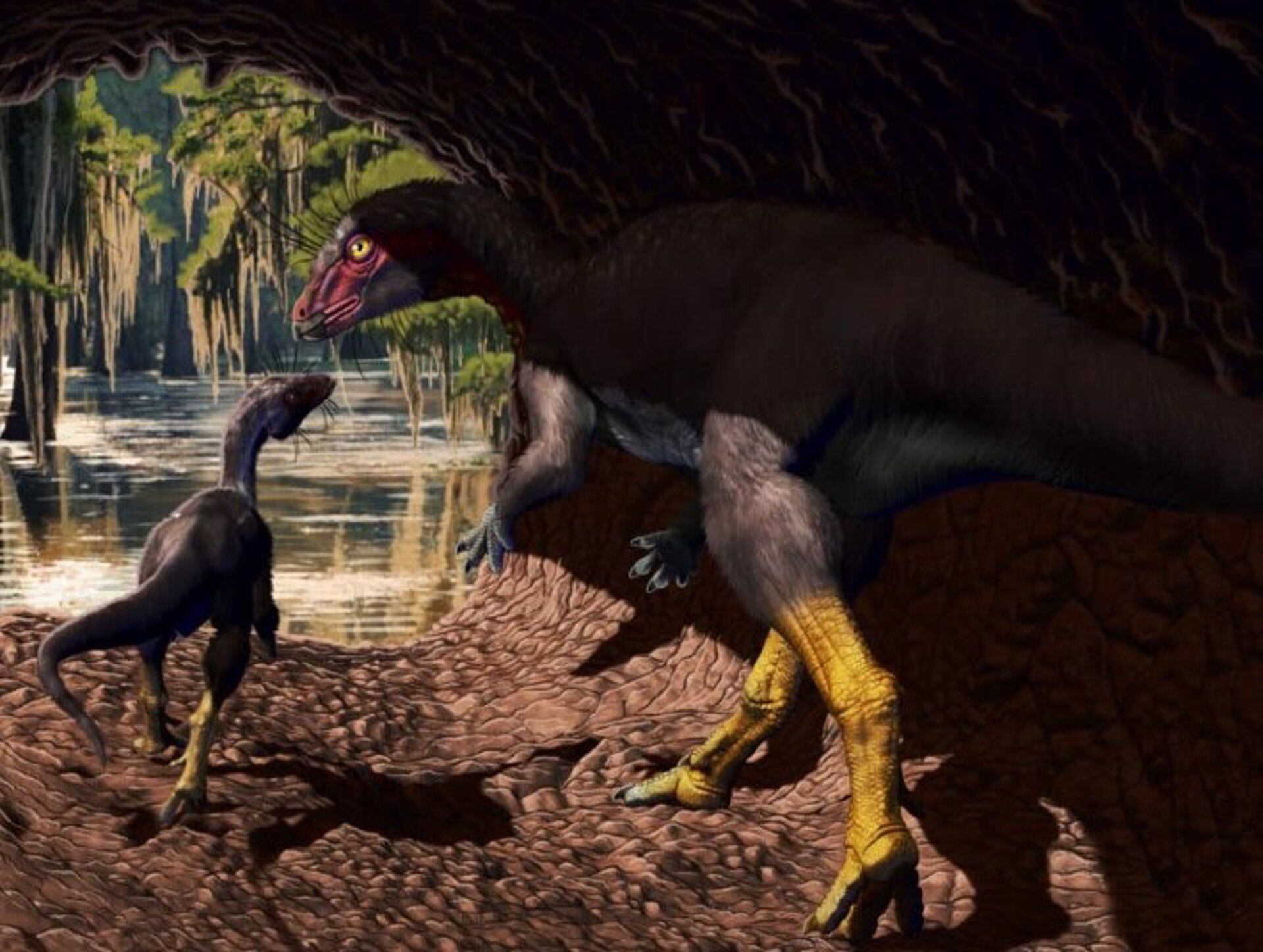 Fona herzogae, nuevo dinosaurio descubierto, evidencia hábitos subterráneos en el Cretácico medio.