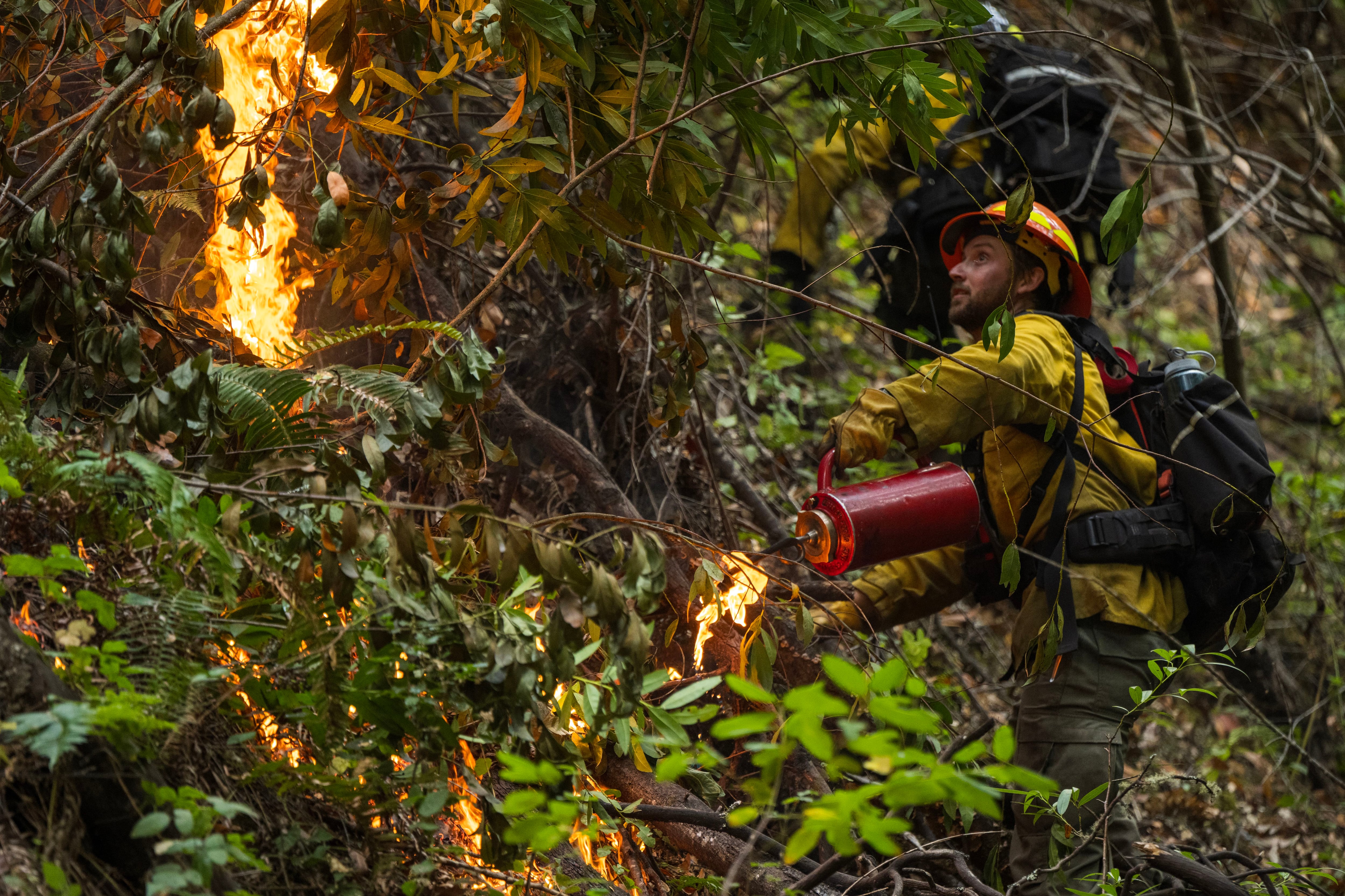Combatiendo fuego con fuego: California apuesta por quemas controladas para evitar catástrofes