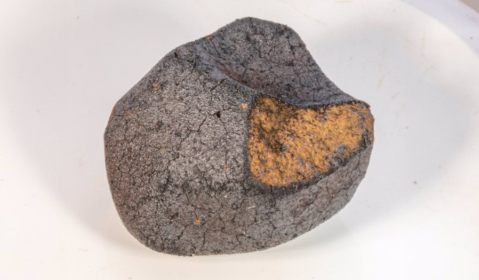 Meteorito recogido en Alemania en 2019. La muestra es una rara condrita carbonácea de tipo C1 y contiene minerales que sólo se forman en presencia de agua.
