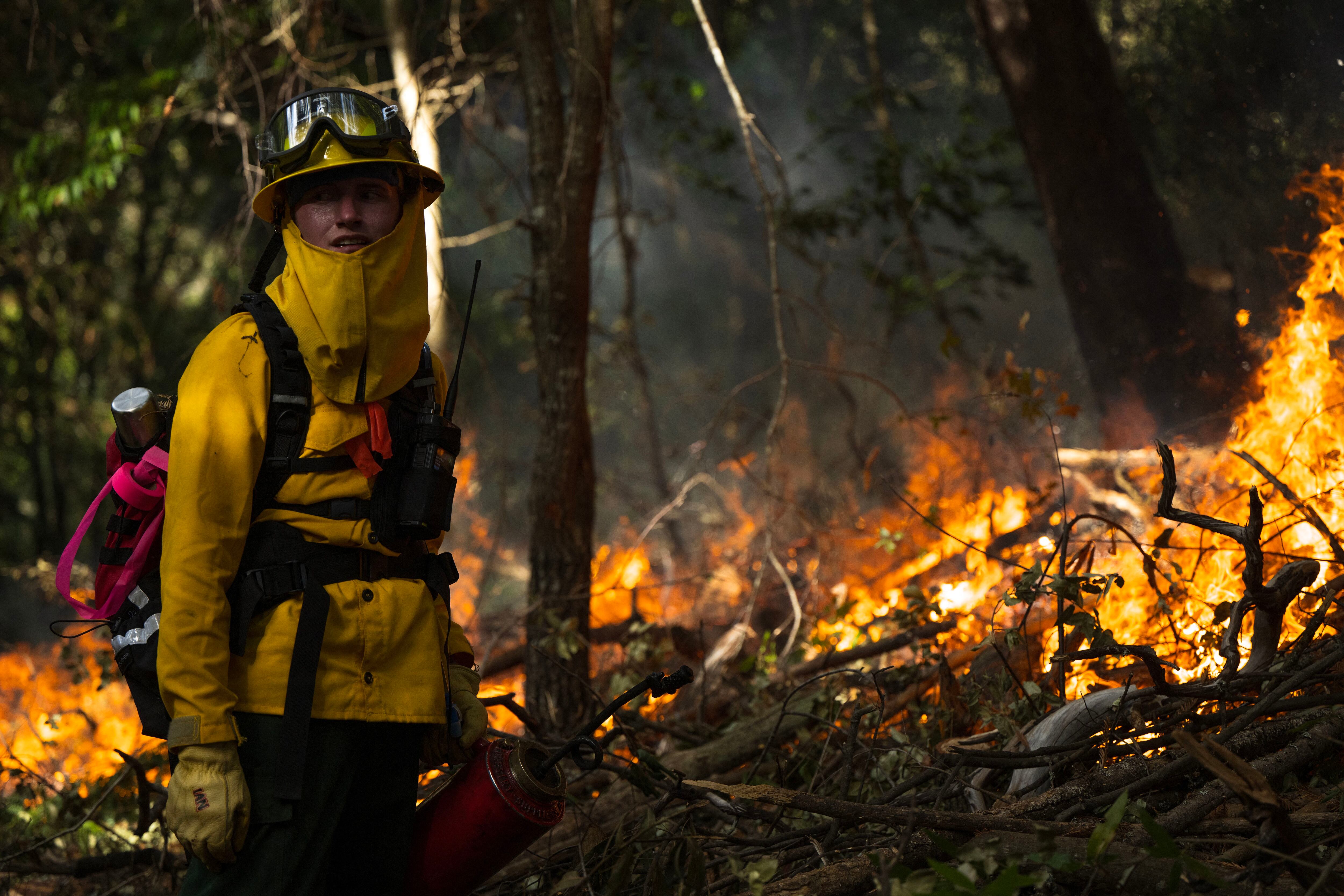 Ian Cook, voluntario de la Asociación de Quemaduras Prescriptas de la Costa Central, monitorea una quema prescrita en el Parque Estatal Wilder Ranch cerca de Santa Cruz.
