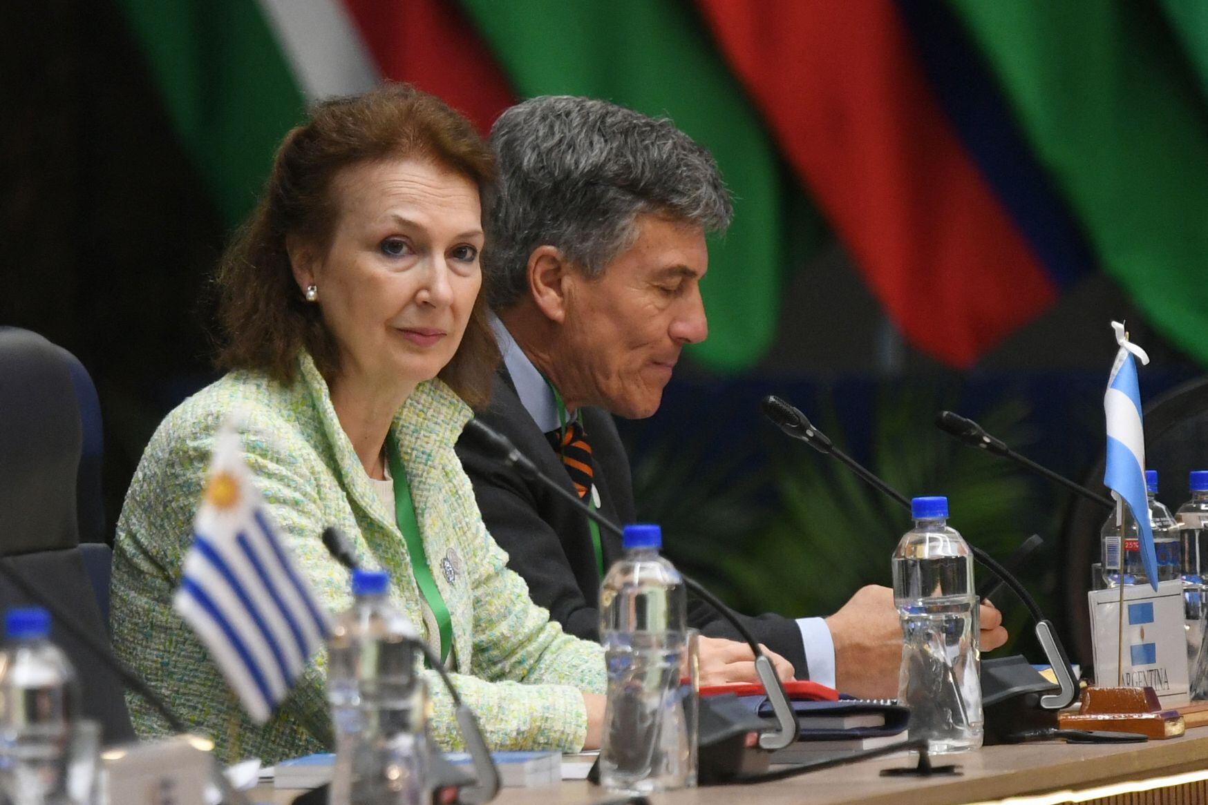 La canciller de Argentina, Diana Mondino, propuso este domingo modalidades de negociación más flexibles en el Mercosur, creado en 1991 por Argentina, Brasil, Paraguay y Uruguay.