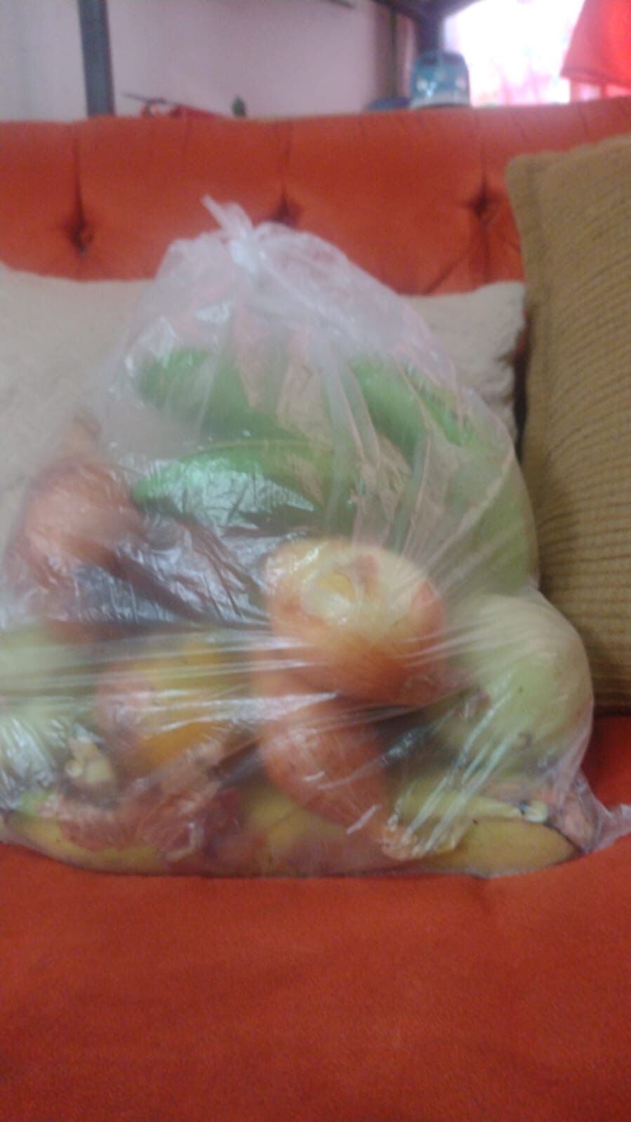 Este jueves 2 de mayo, más de un mes después de que a algunos estudiantes de la Escuela Los Guido se les entregara una bolsa con arroz y frijoles, entre otros alimentos; los niños recibieron solamente estas frutas y verduras. Foto: Cortesía