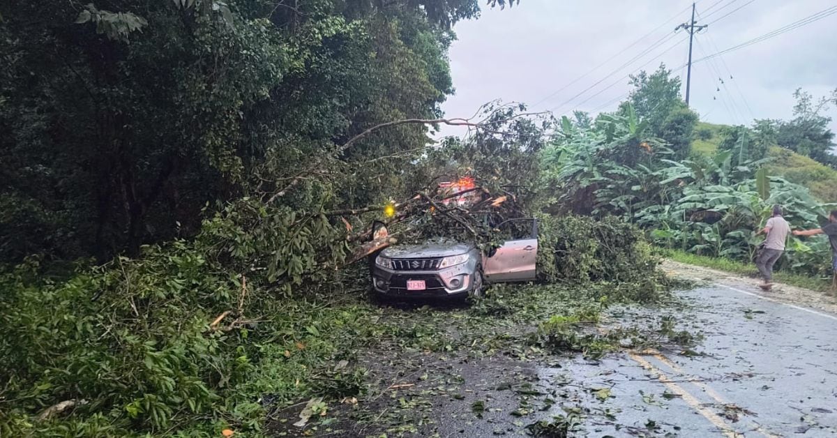 El incidente se registró la tarde de este miércoles en el distrito de Guayacará. (Foto: Cruz Roja Costarricense)