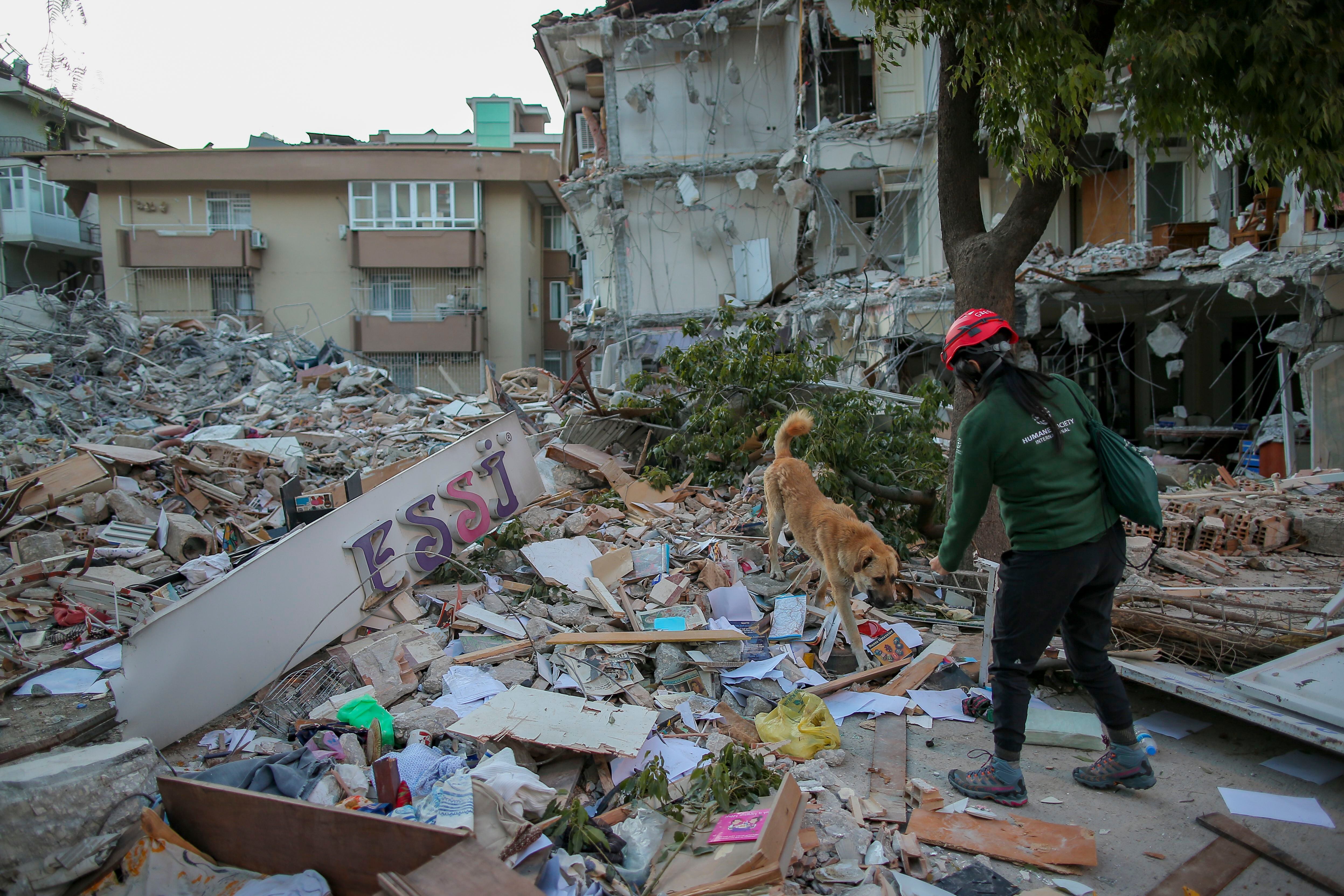 La devastación en Anakai, Turquía después del terremoto es evidente. Grettel Delgadillo estuvo en varios barrios en búsqueda de animales para rescatar. Fotografía: Emrah Gurel/AP Images para HSI