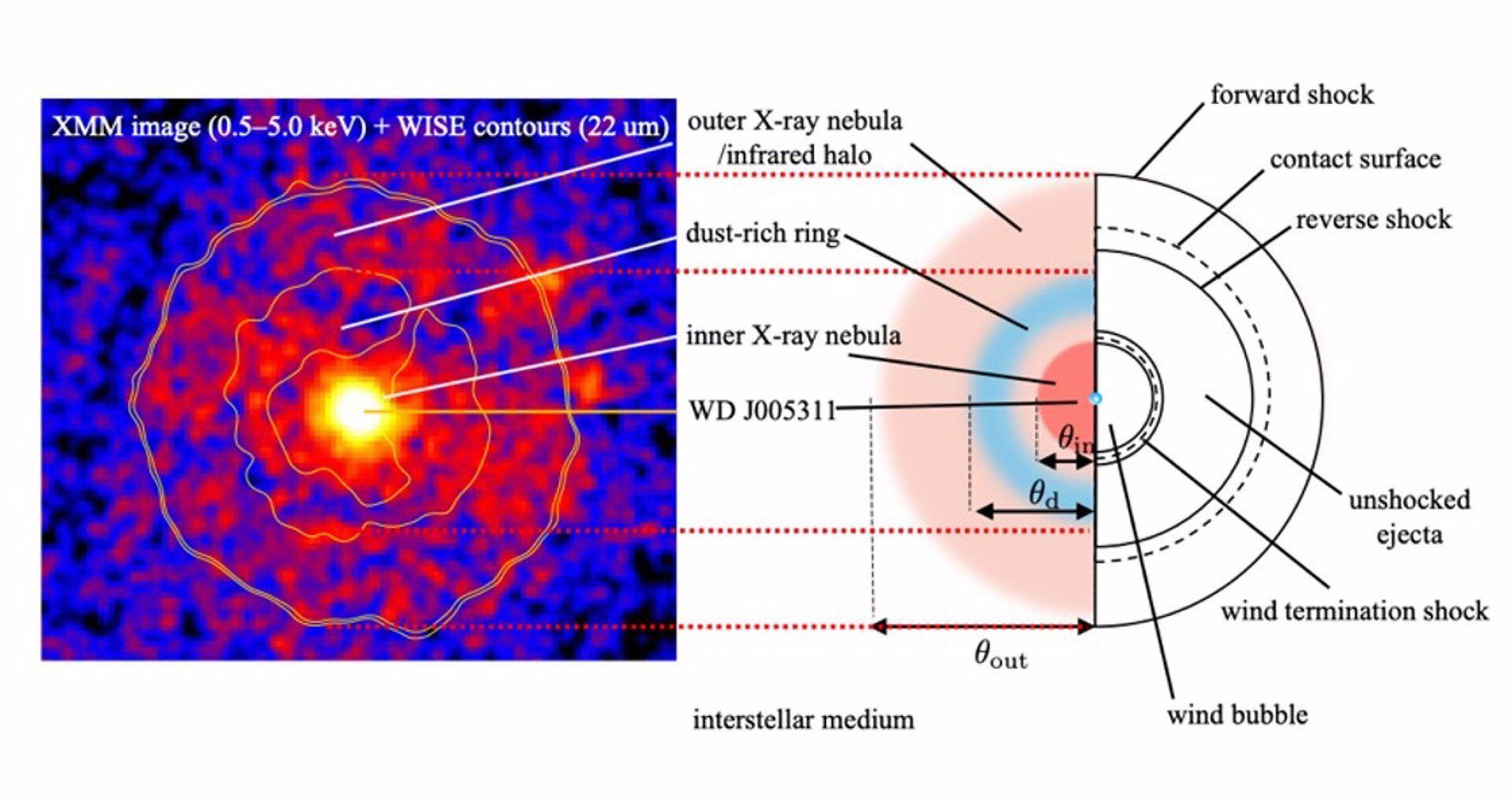 Modelos informáticos revelan que la supernova de 1181 ha comenzado a generar vientos estelares recientemente, destacando la importancia de la investigación interdisciplinaria.
