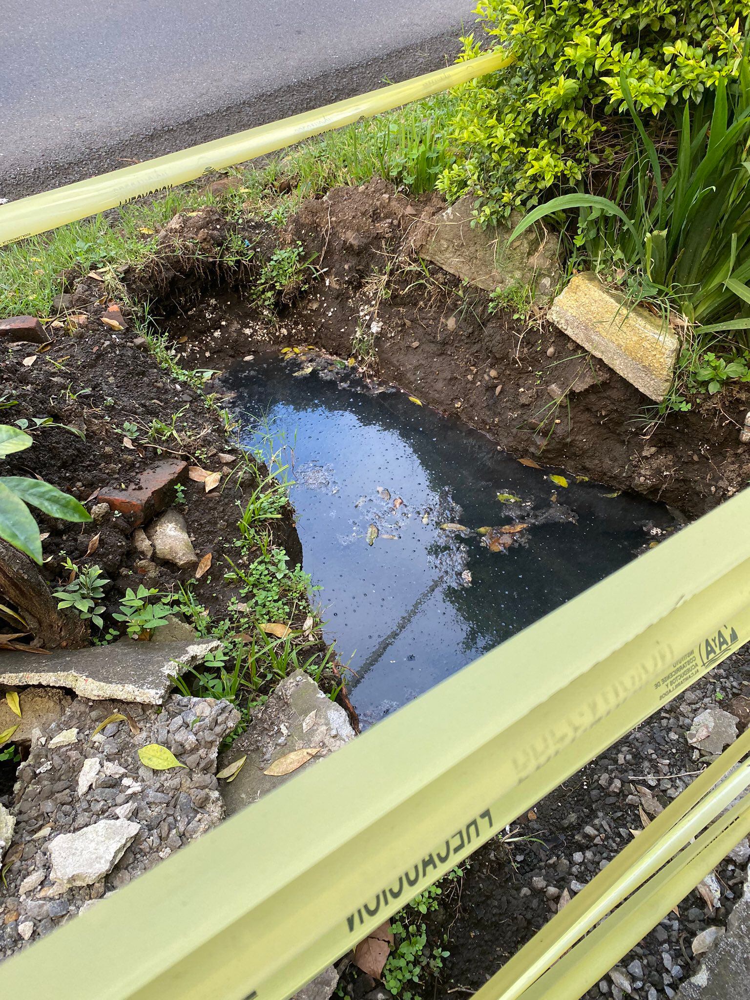 Los vecinos temen que el agua contaminada atraiga plagas a la concurrida vía josefina. Foto: tomada del Twitter @lepetitebrave