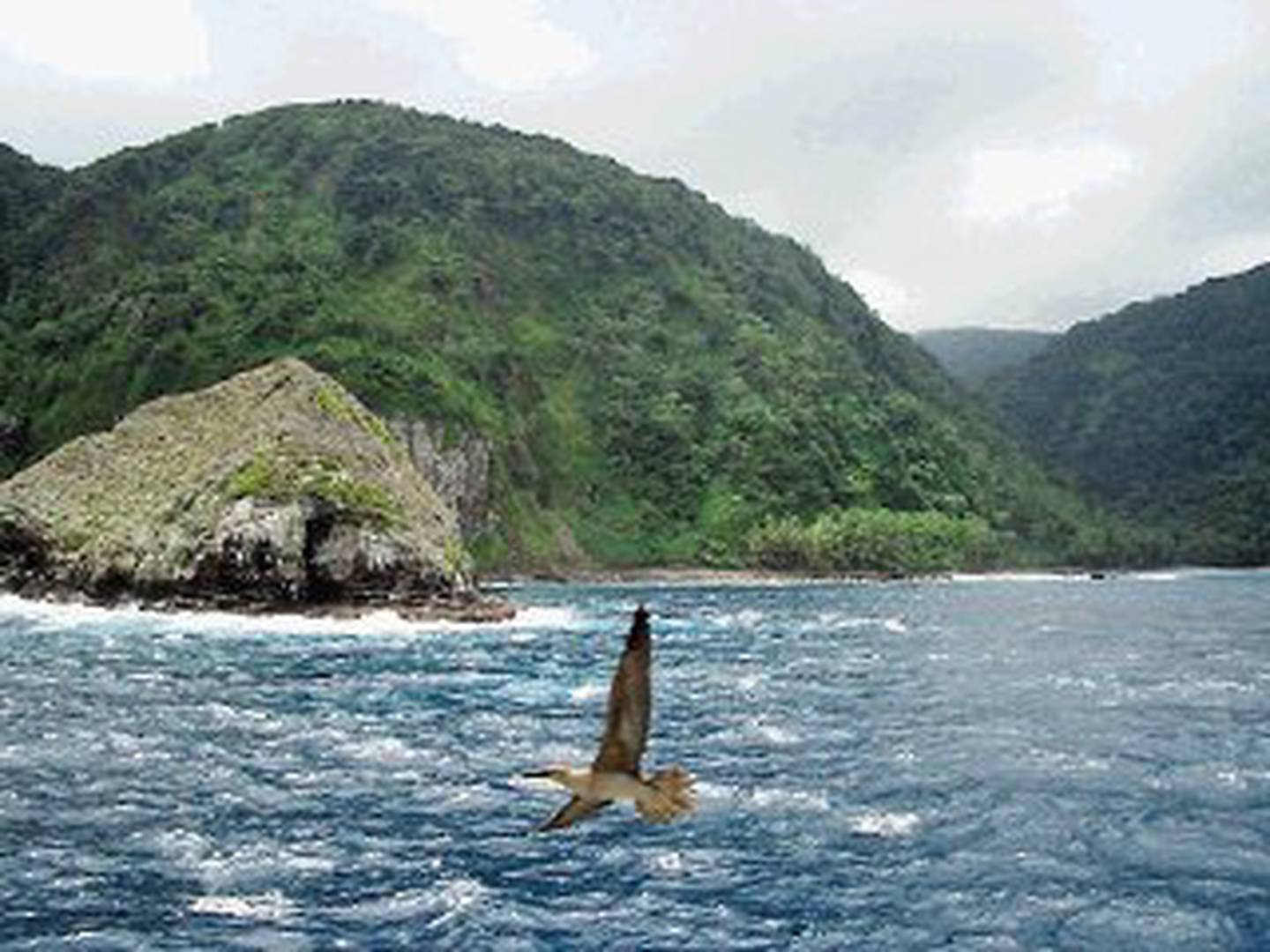 Isla del Coco quedó fuera en concurso para ser maravilla natural La