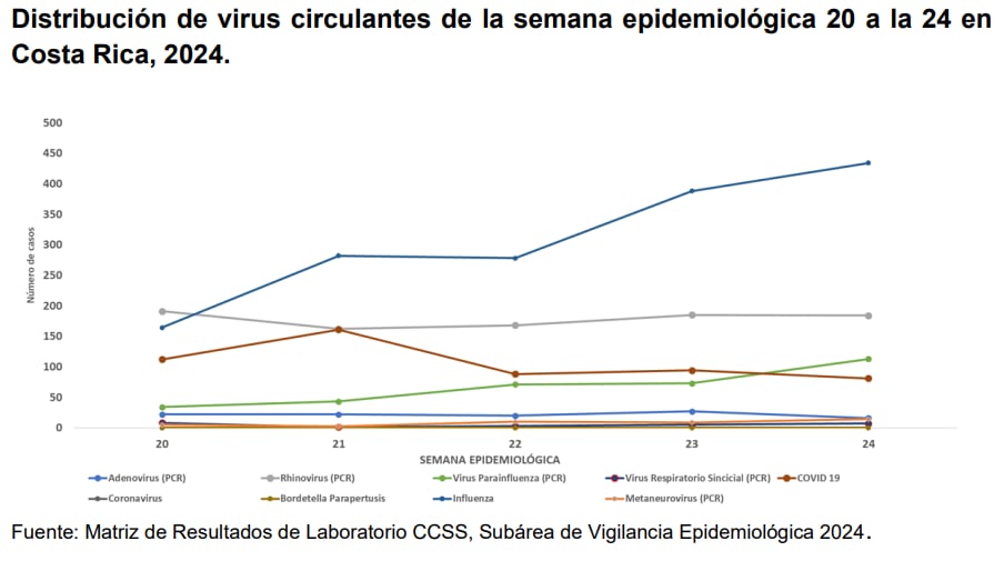Esta es la circulación de los virus respiratorios en las últimas semanas.

Gráfico: Ministerio de Salud