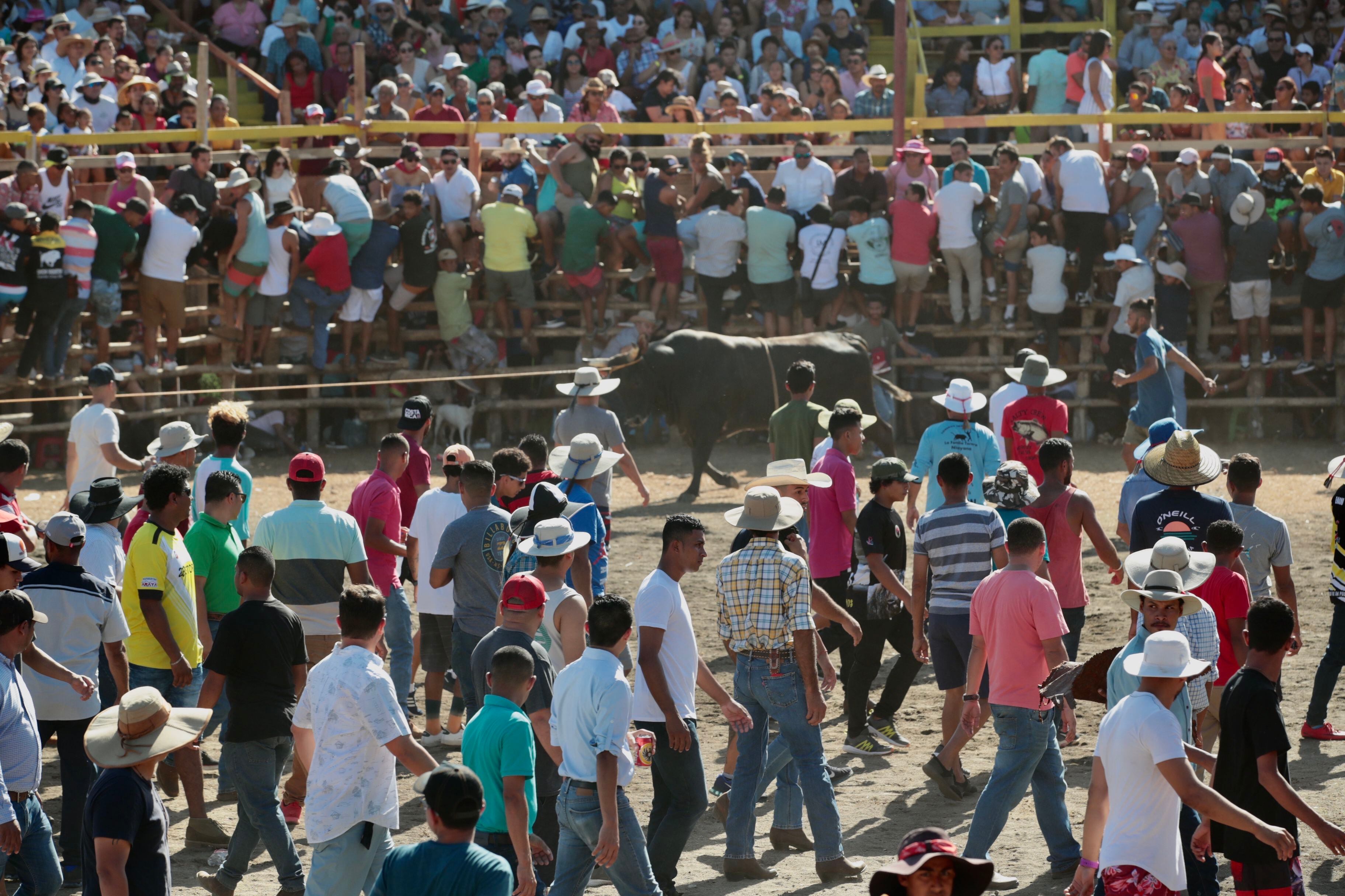 Santa Cruz cancel sus fiestas pero desde Facebook se convoca a