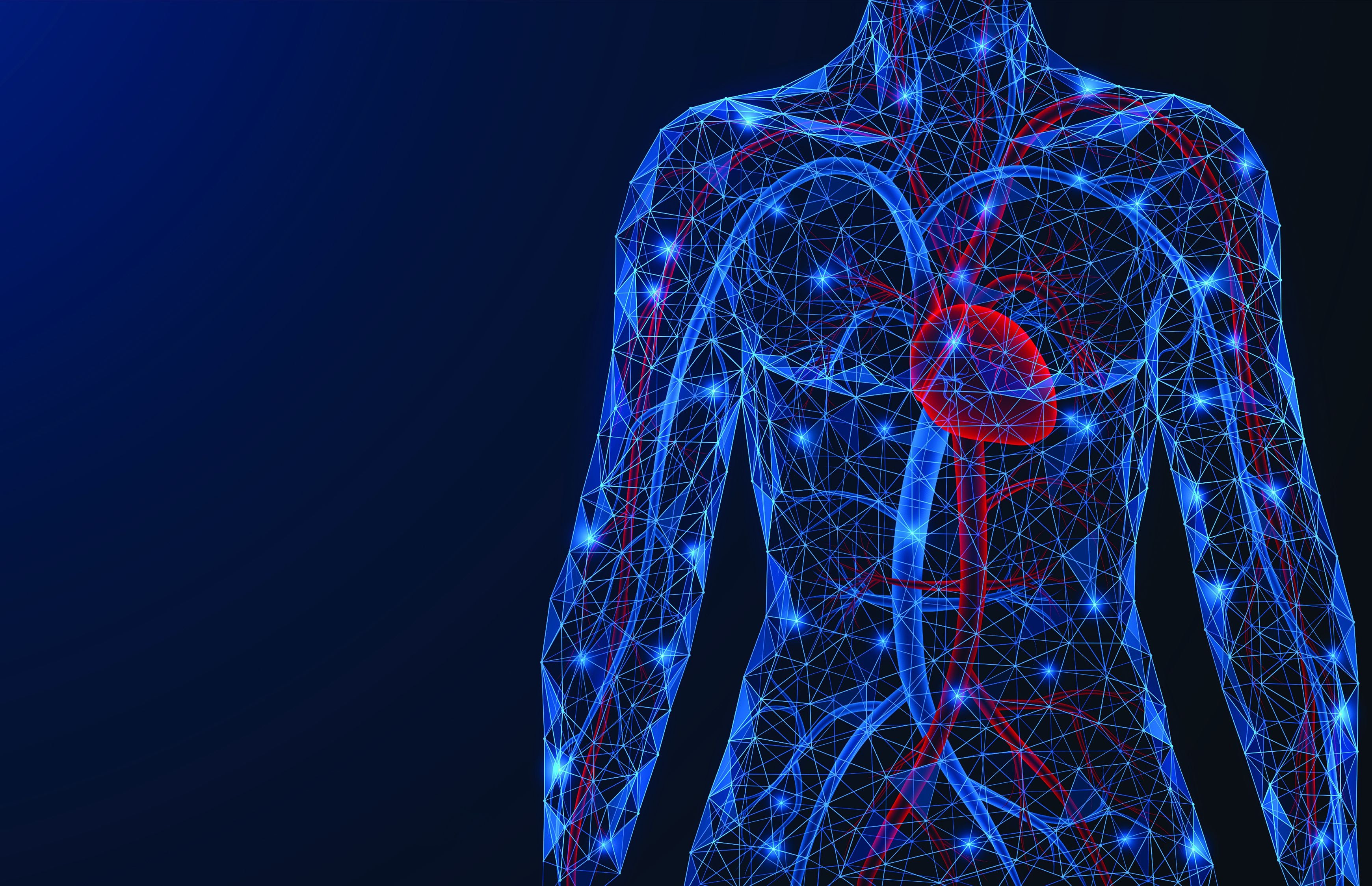 La hipertensión vuelve más rígidos los vasos sanguíneos en todo el cuerpo y afecta especialmente a órganos como corazón, cerebro y riñones. 
