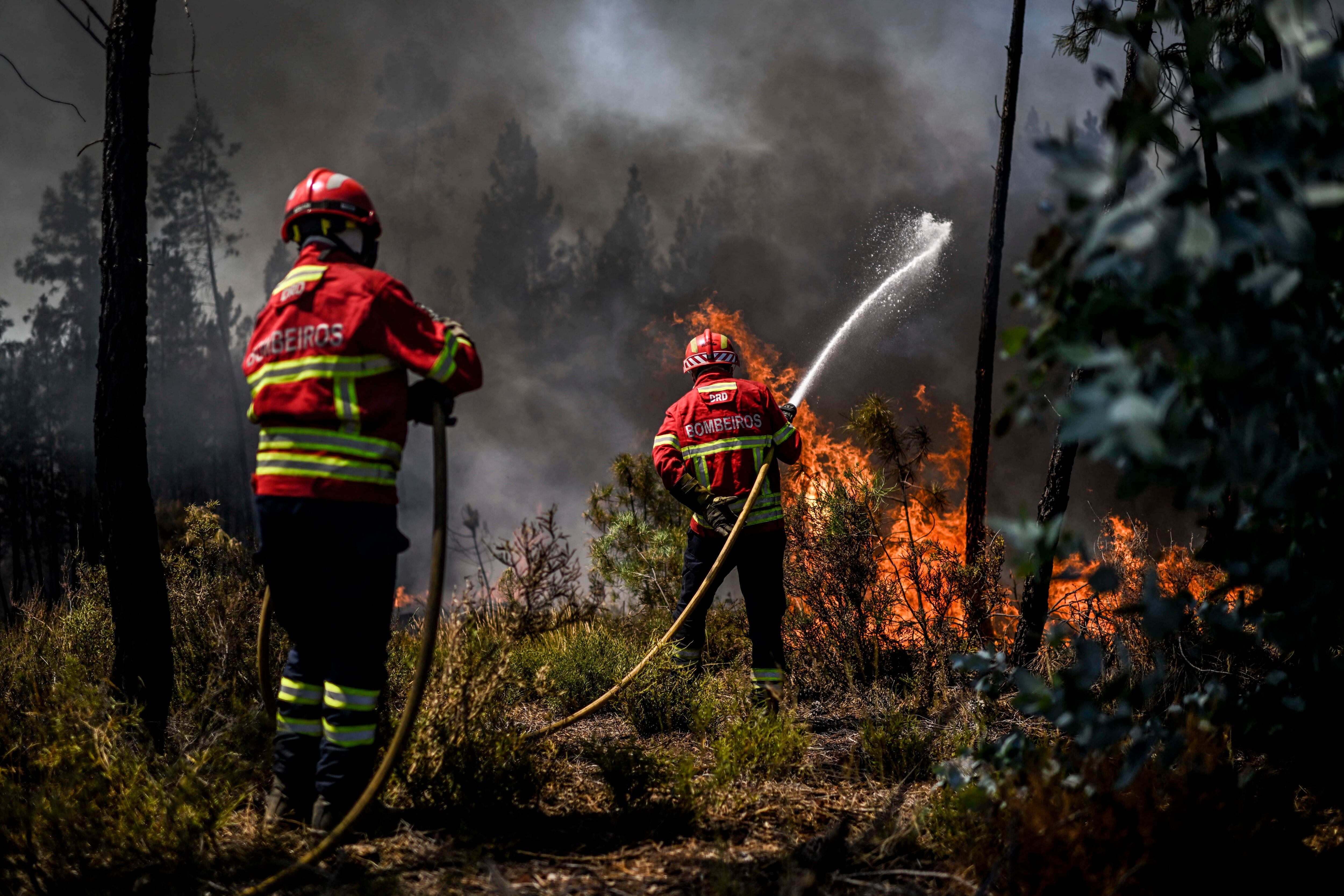 Los incendios forestales han consumido más de 40.000 hectáreas en todo el territorio de Guatemala. Imagen ilustrativa.