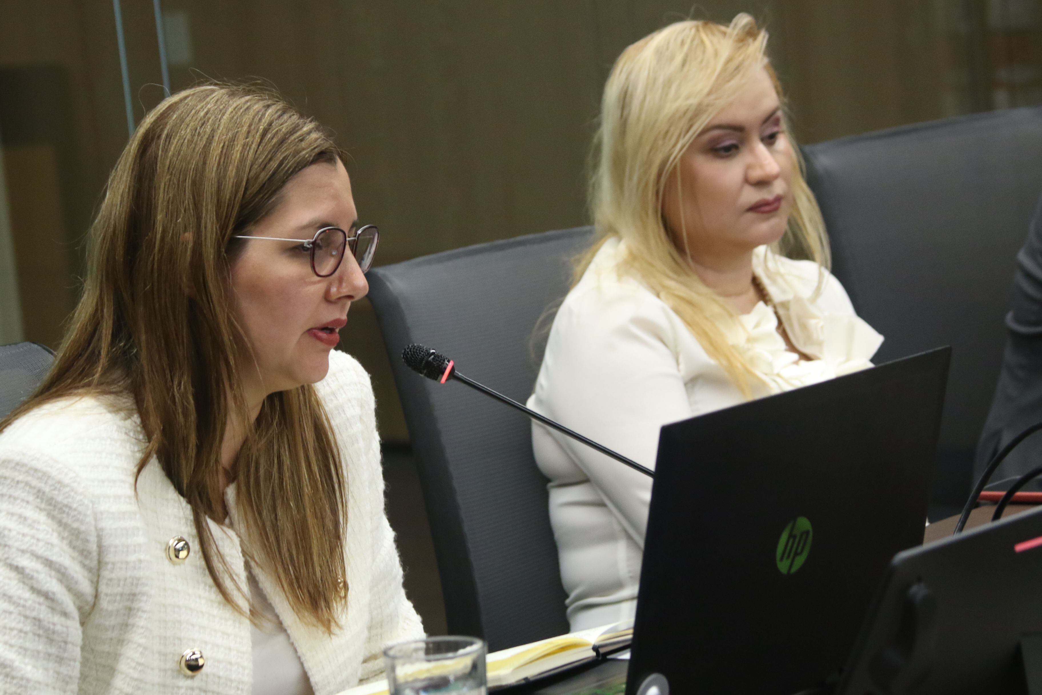 Viviana Blanco Barboza (izquierda), presidenta de Coprocom, pide eliminar las tarifas mínimas que establecen los colegios profesionales. Foto. Asamblea legislativa.