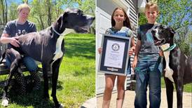 El perro más alto del mundo fallece días después de obtener el récord Guinness