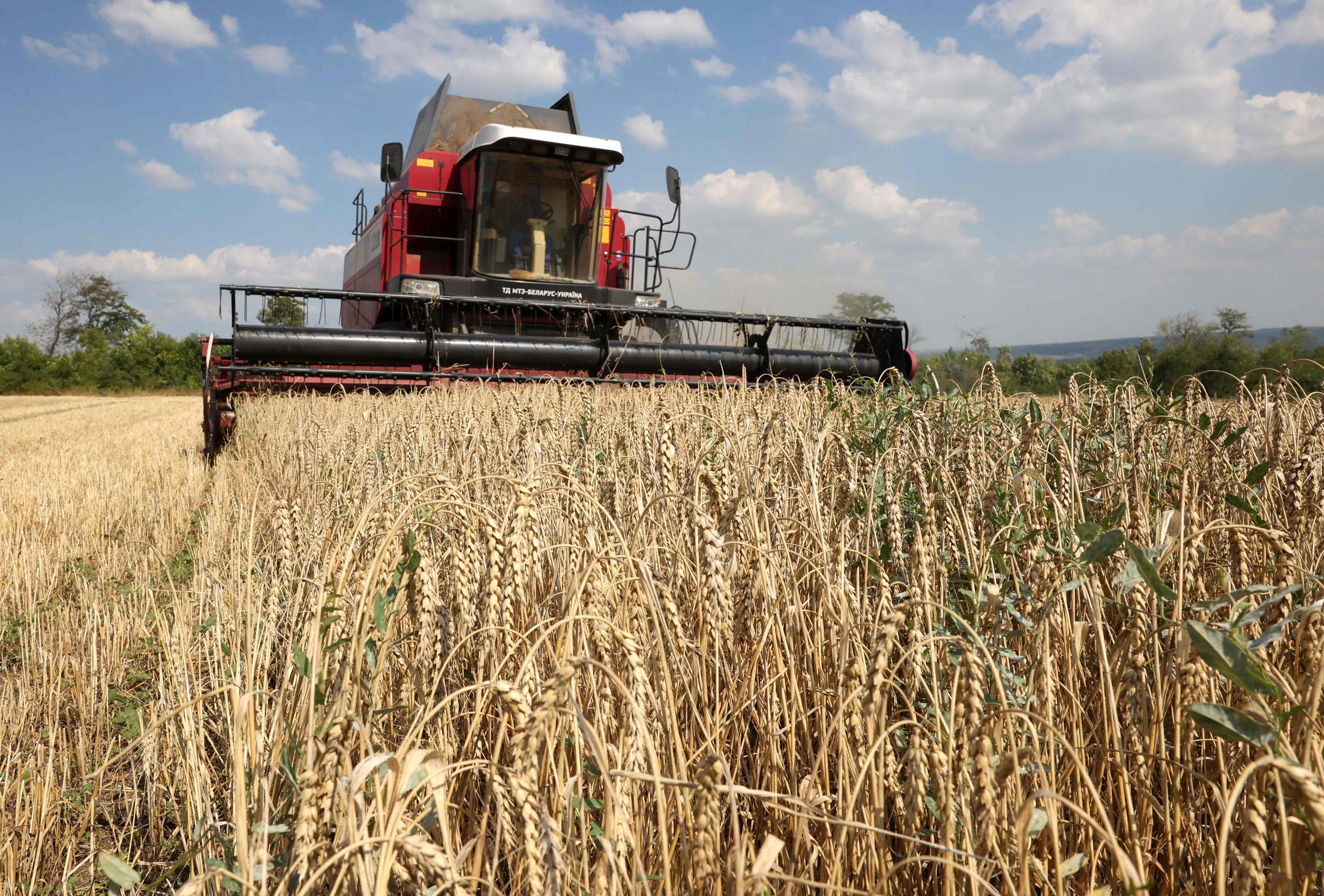 Unión Europea propone castigar los granos rusos con aranceles ‘prohibitivos’
