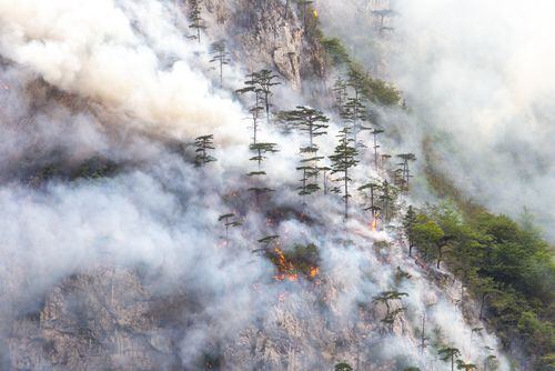 Entre los puntos de inflexión identificados por los científicos climáticos figuran los incendios masivos de los bosques.