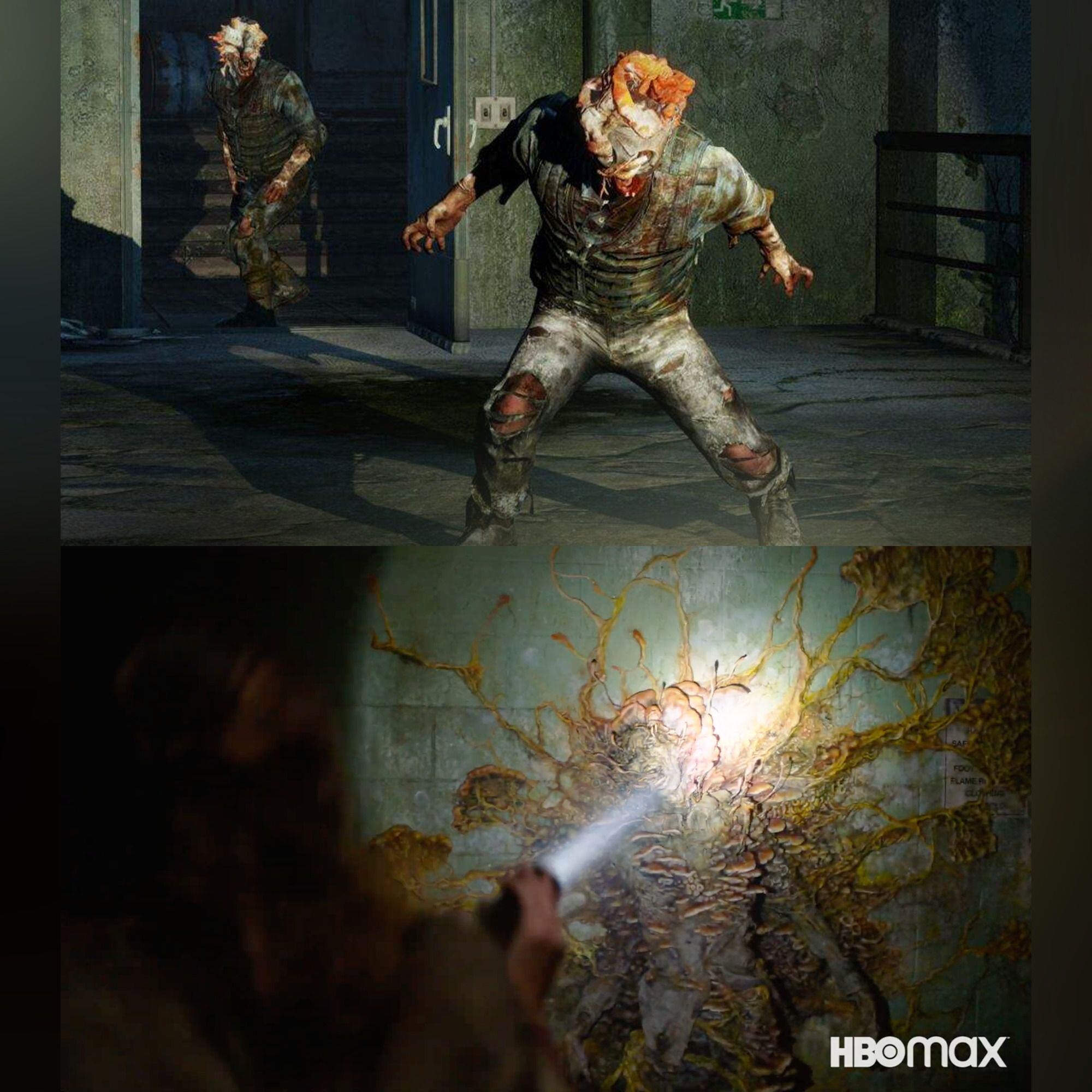 Los chasqueadores son un tipo de mutantes que aparece en el universo de 'The Last Of Us'. En el videojuego solo pueden ser derribados con cuchillas y no con golpes. Foto: HBO
