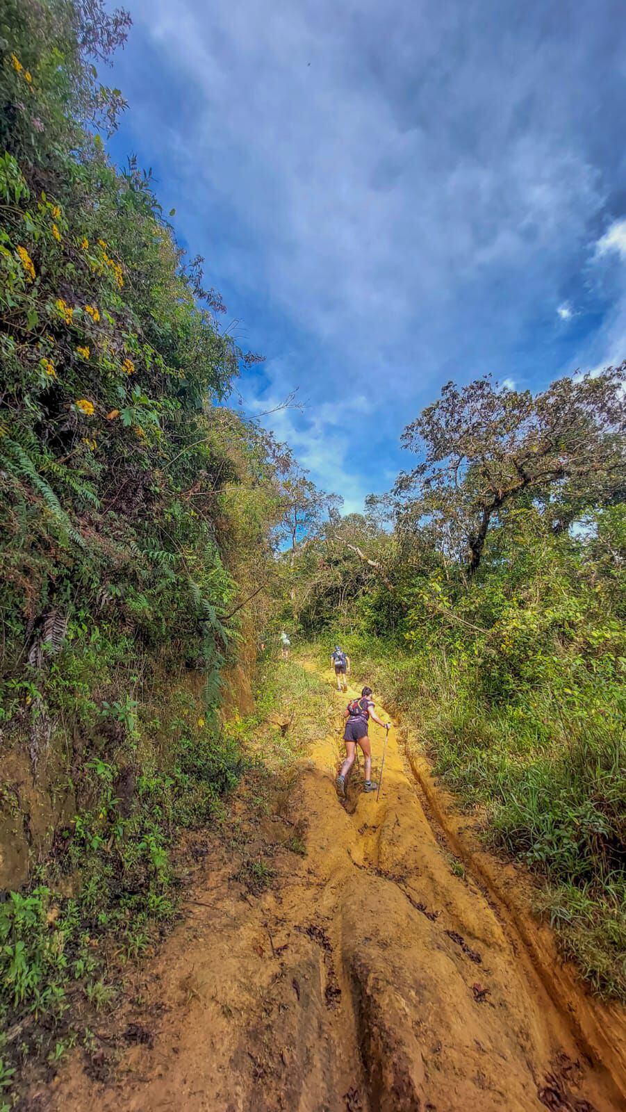 Hablemos de trail: Caminar en algunas cuestas puede ayudar a regularizar nuestra pulsaciones. Foto: Luis Diego Leiva