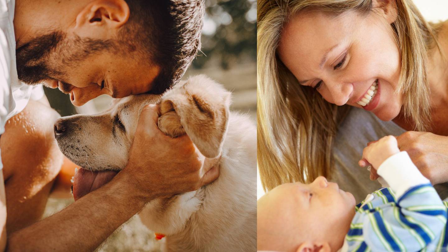 La expresión facial juega un papel crucial en la comunicación con bebés y perros.