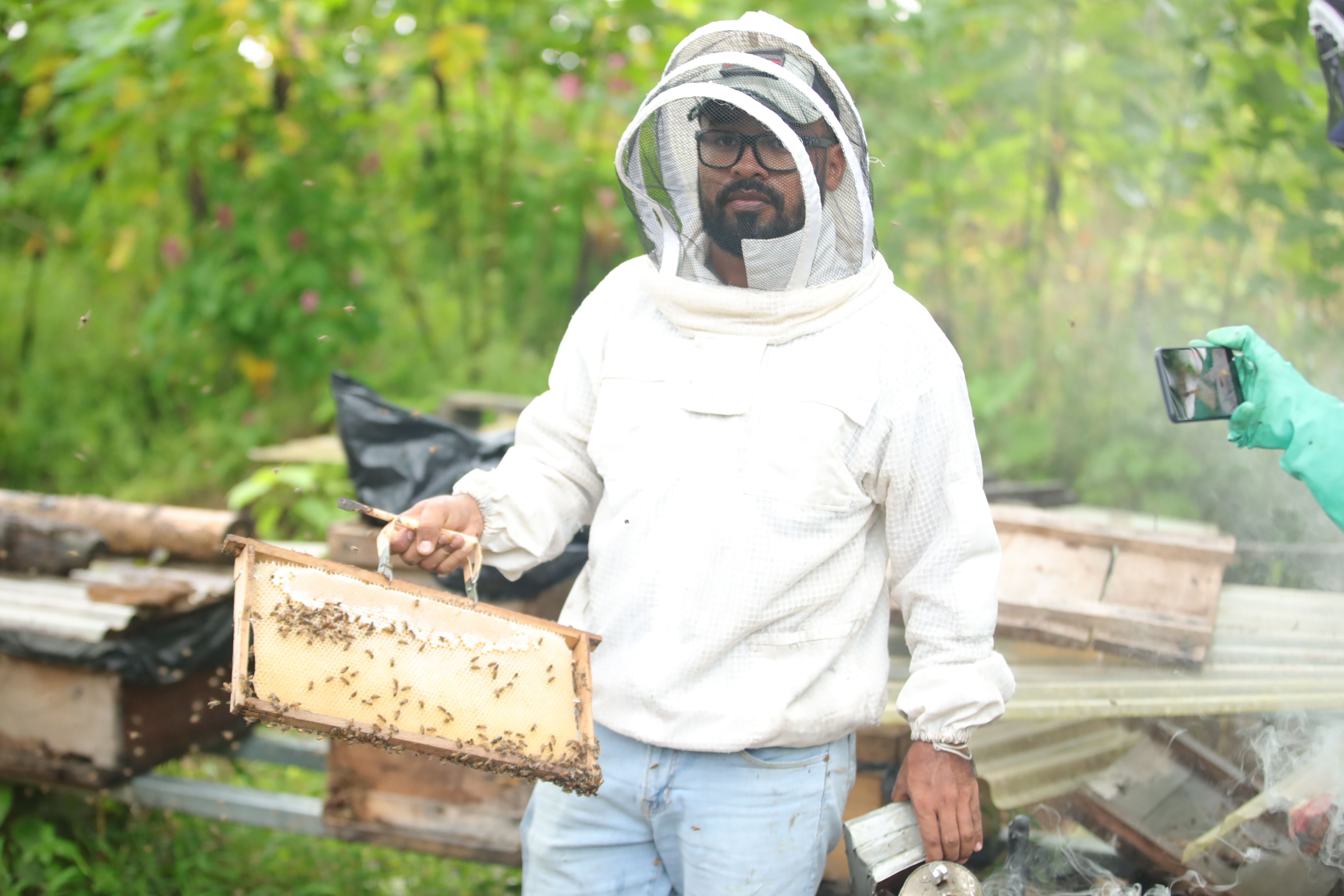 El apiario cuenta con 15 colmenas. Foto: Alonso Tenorio.