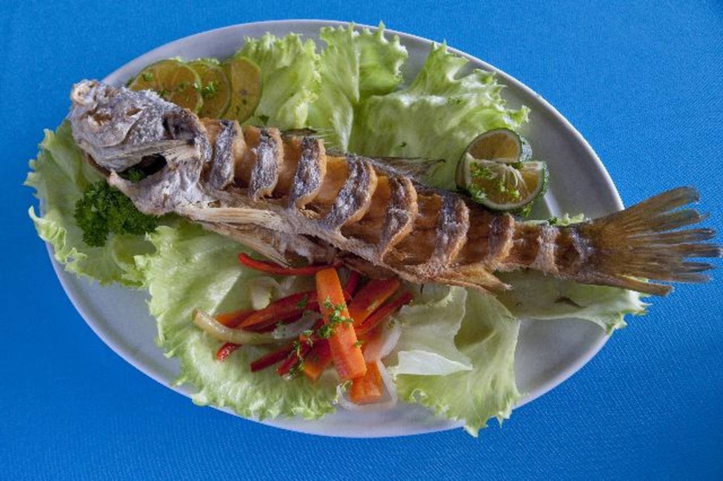 Qué comer después de una intoxicación por pescados y mariscos? | La Nación
