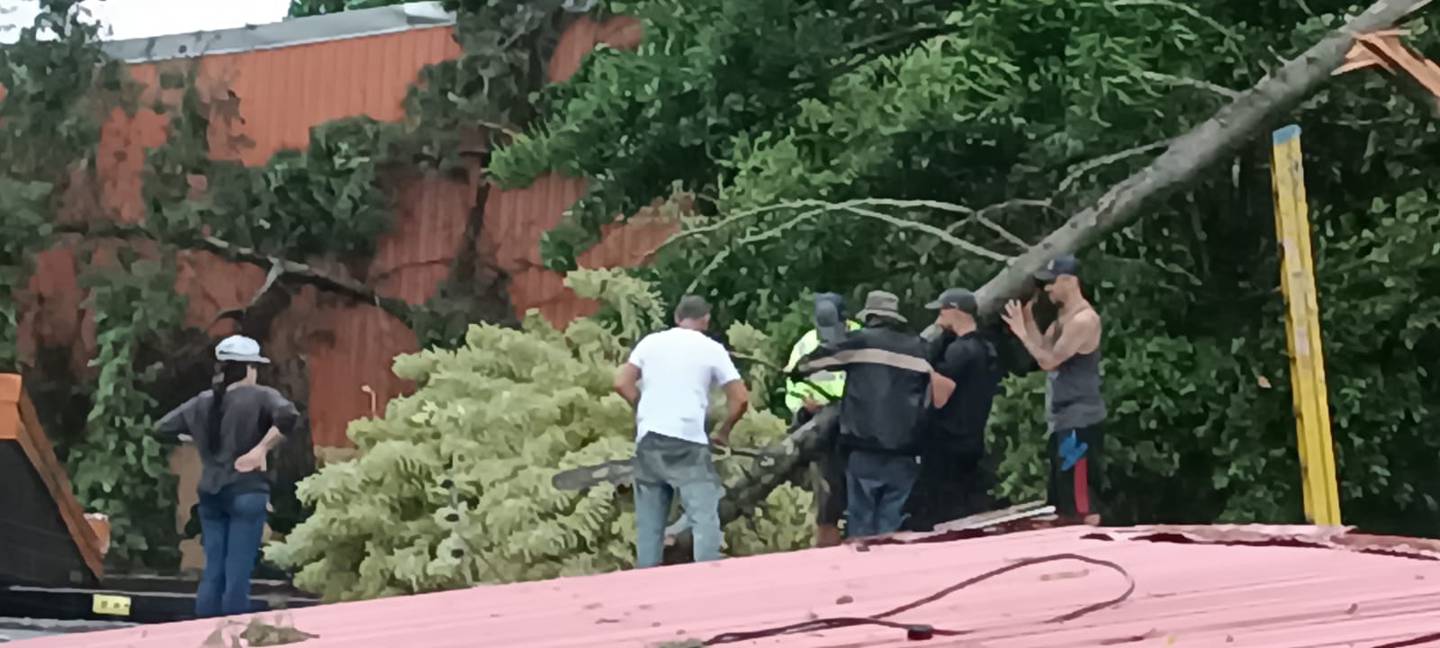 Fuertes aguaceros causaron estragos en su paso por la comunidad de Agua Caliente, donde vecinos incluso perdieron su hogar por caída de árboles