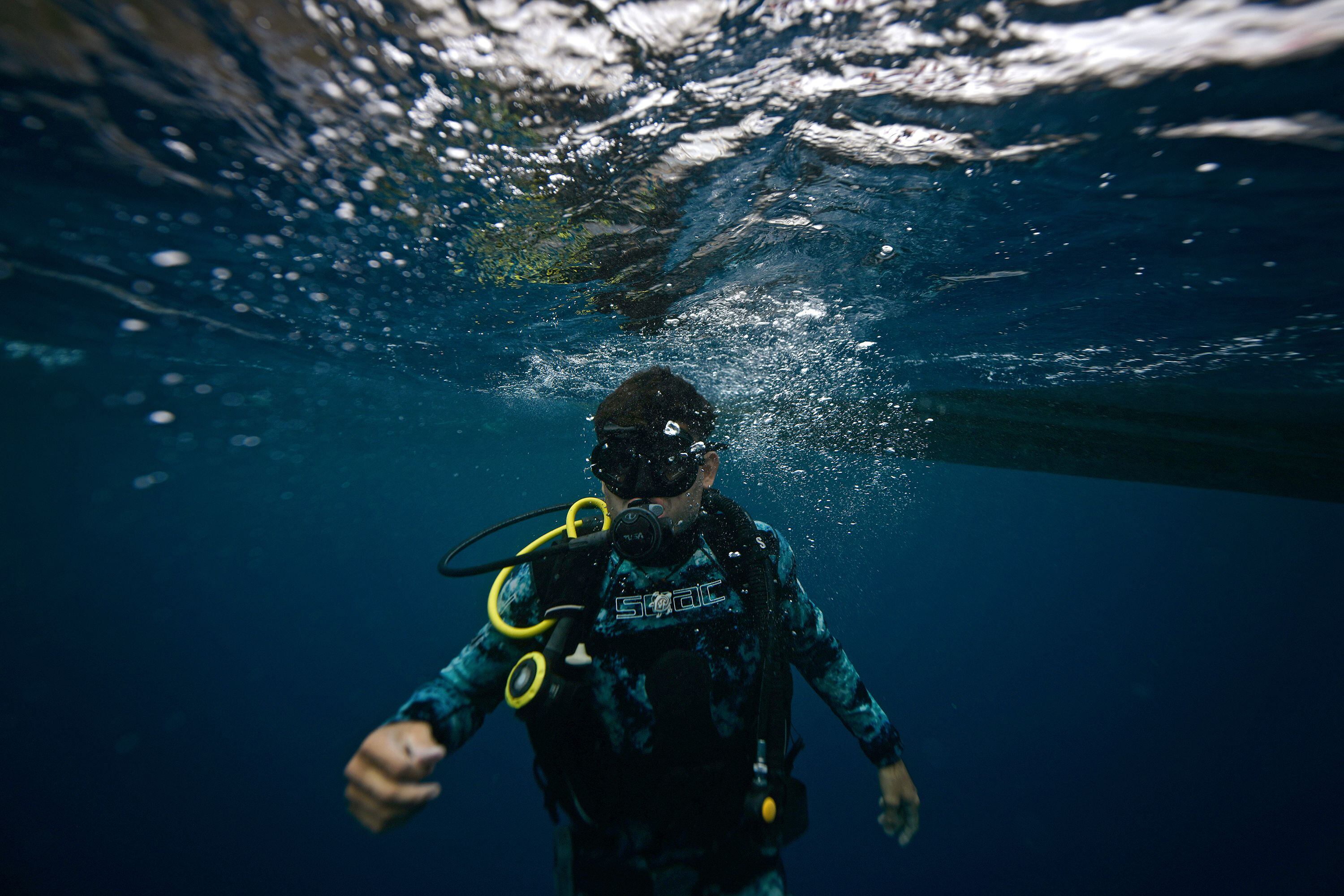 Buceo en la Isla del Coco: un relato submarino
