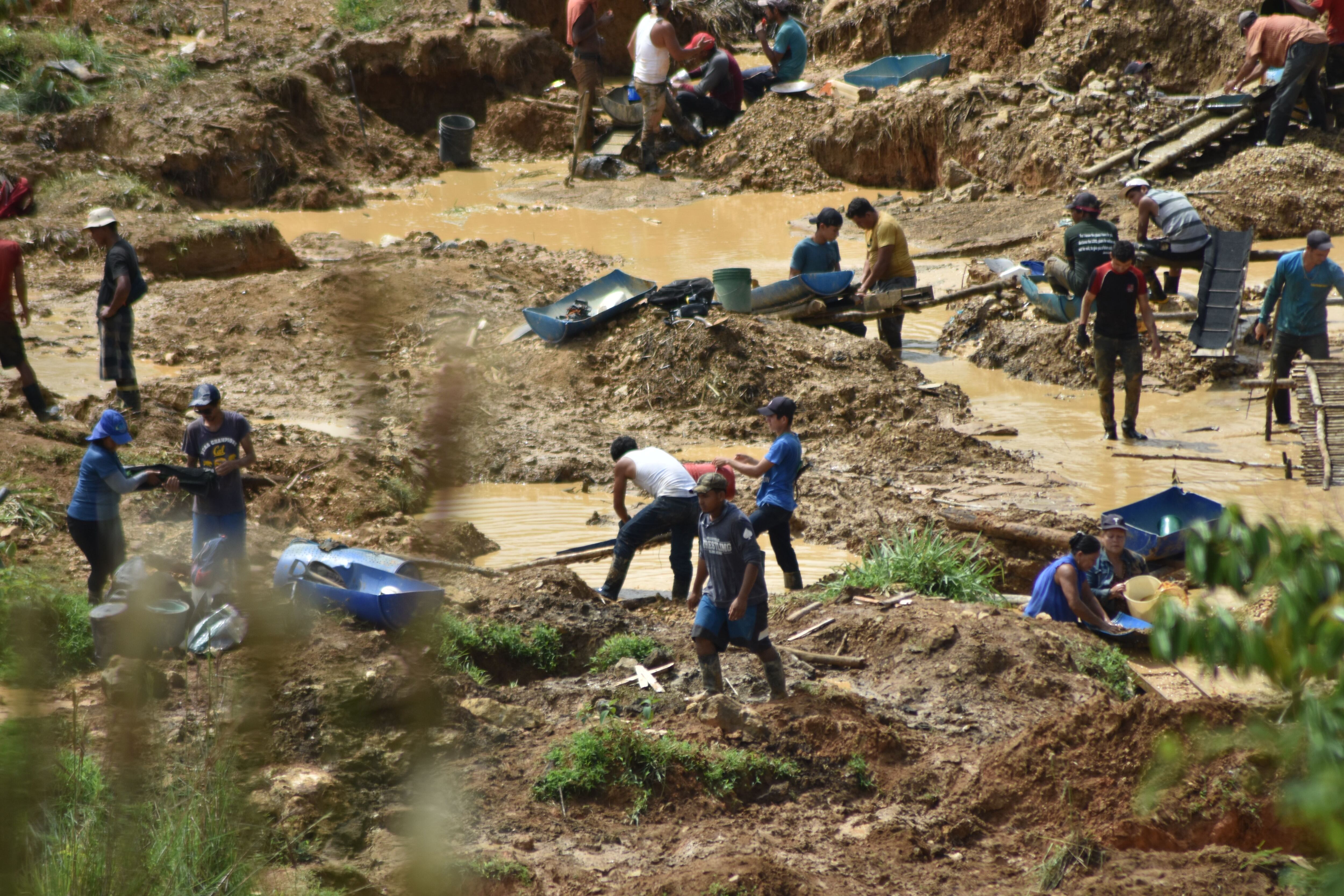 Foto ilustrativa. El 9 de agosto del 2023, los coligalleros hicieron pequeños grupos para colaborar unos con otros en la labor de extracción ilegal del oro en Crucitas, en Cutris de San Carlos, a solo 6 kilómetros de la frontera con Nicaragua.