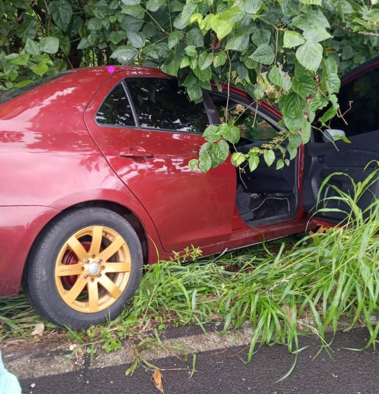 Al parecer los homicidas escaparon en este carro que fue hallado dentro de un cultivo de Melina. Foto: Reiner Montero