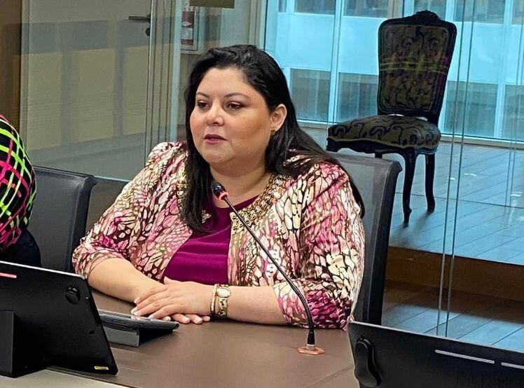 Cindy Quesada, ministra de la Condición de la Mujer, fue llamada a audiencia para comparecer sobre la estrategia para reducir la violencia del género. Foto: Cortesía