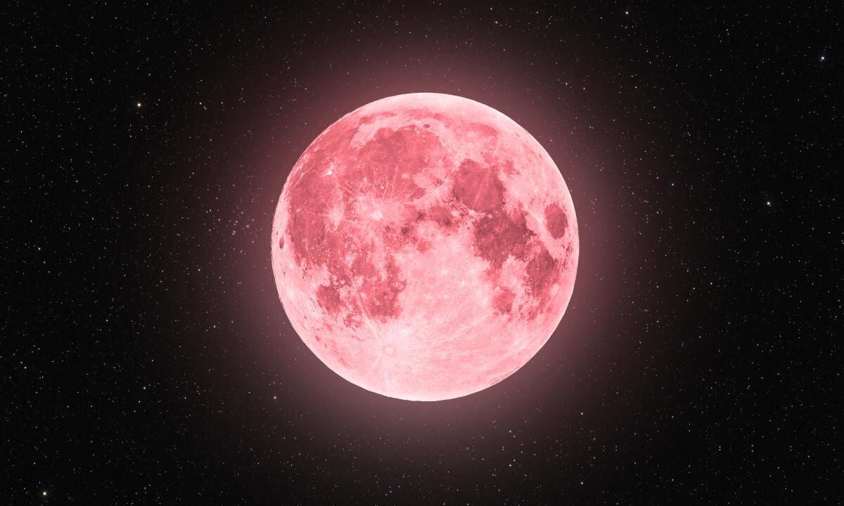 La Luna se ubicará en el lado opuesto del Sol y la Tierra, permitiendo observar al satélite completamente iluminado con un reflejo rosa fuera de lo común.